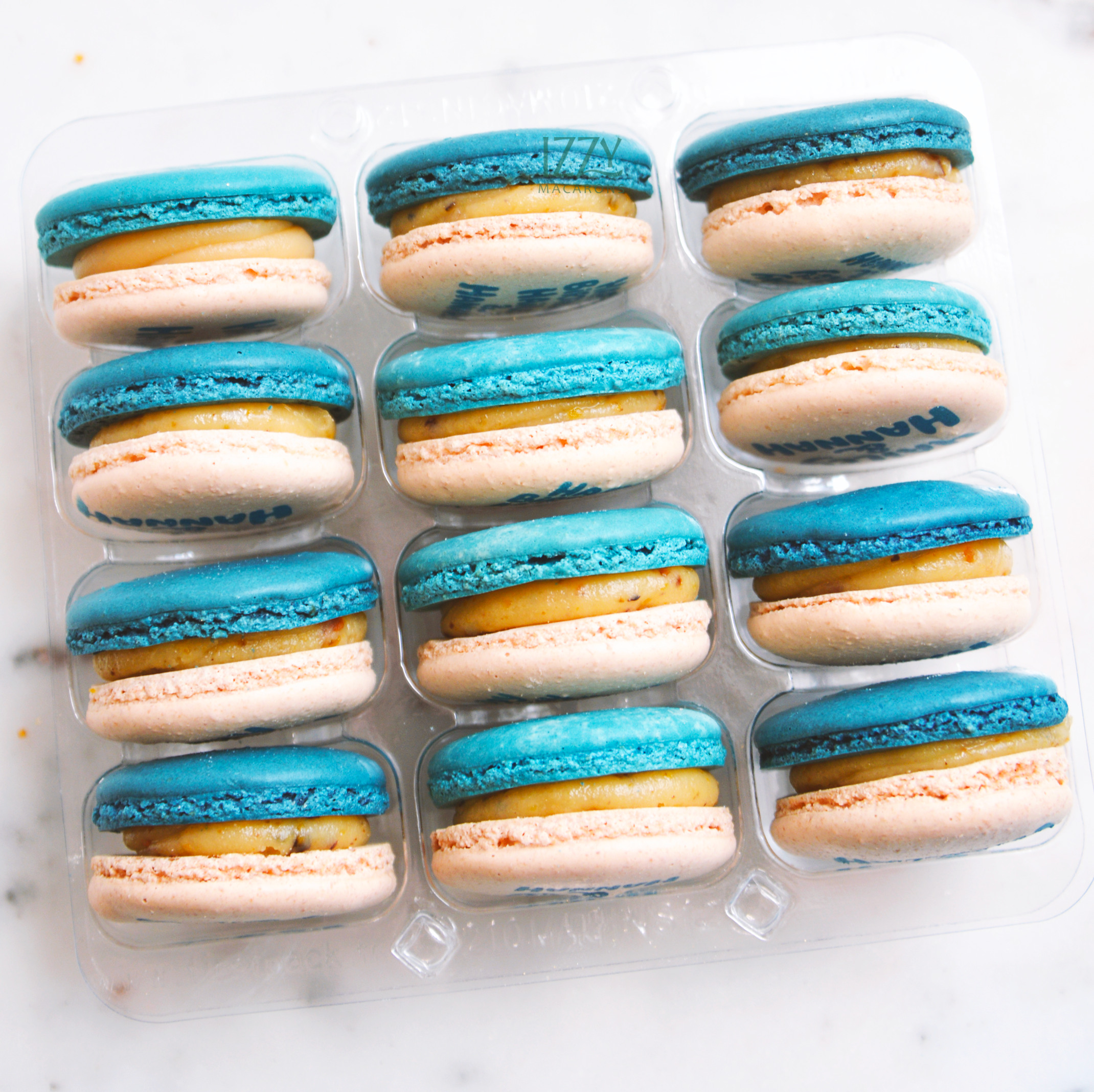 Bluey dog Macarons - Birthday Themed