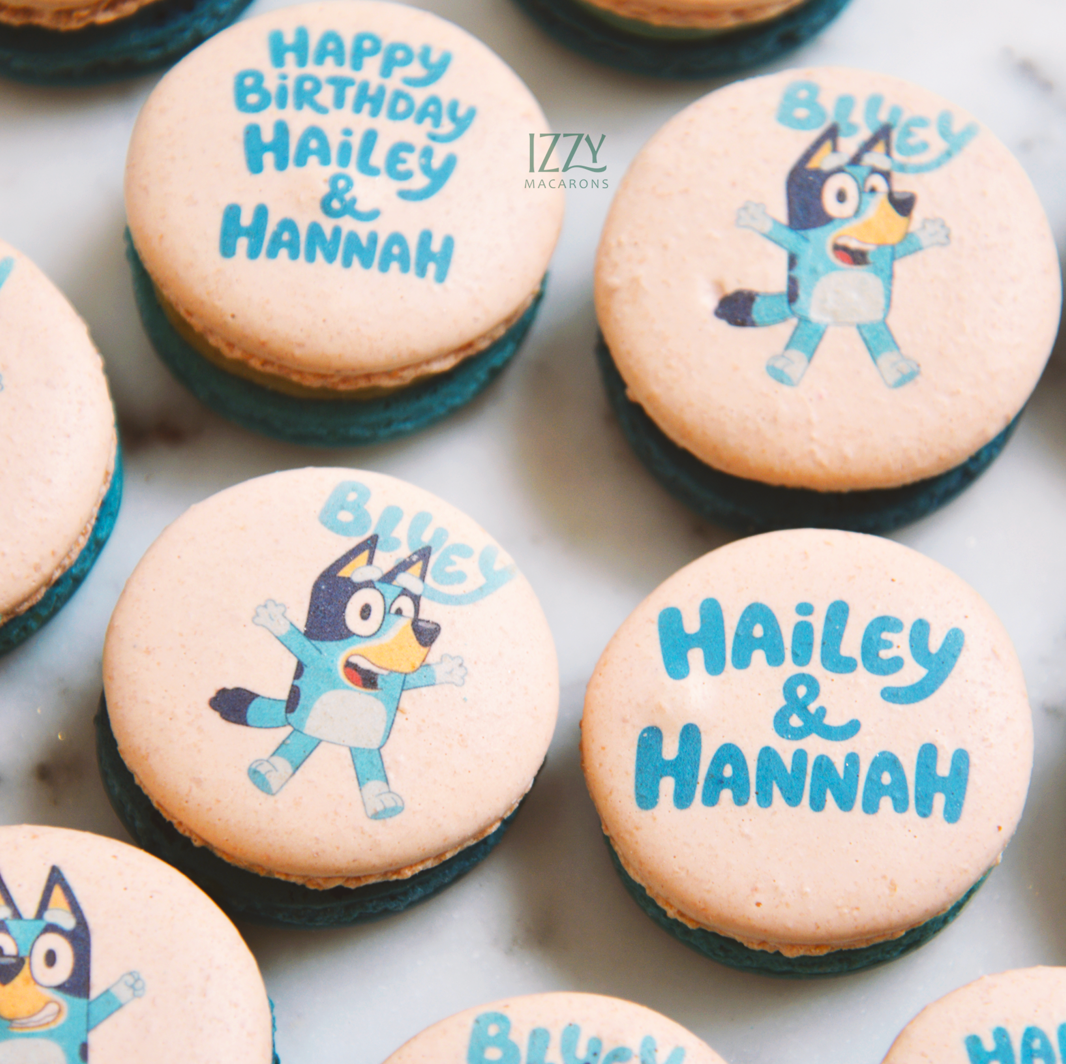 Bluey dog Macarons - Birthday Themed