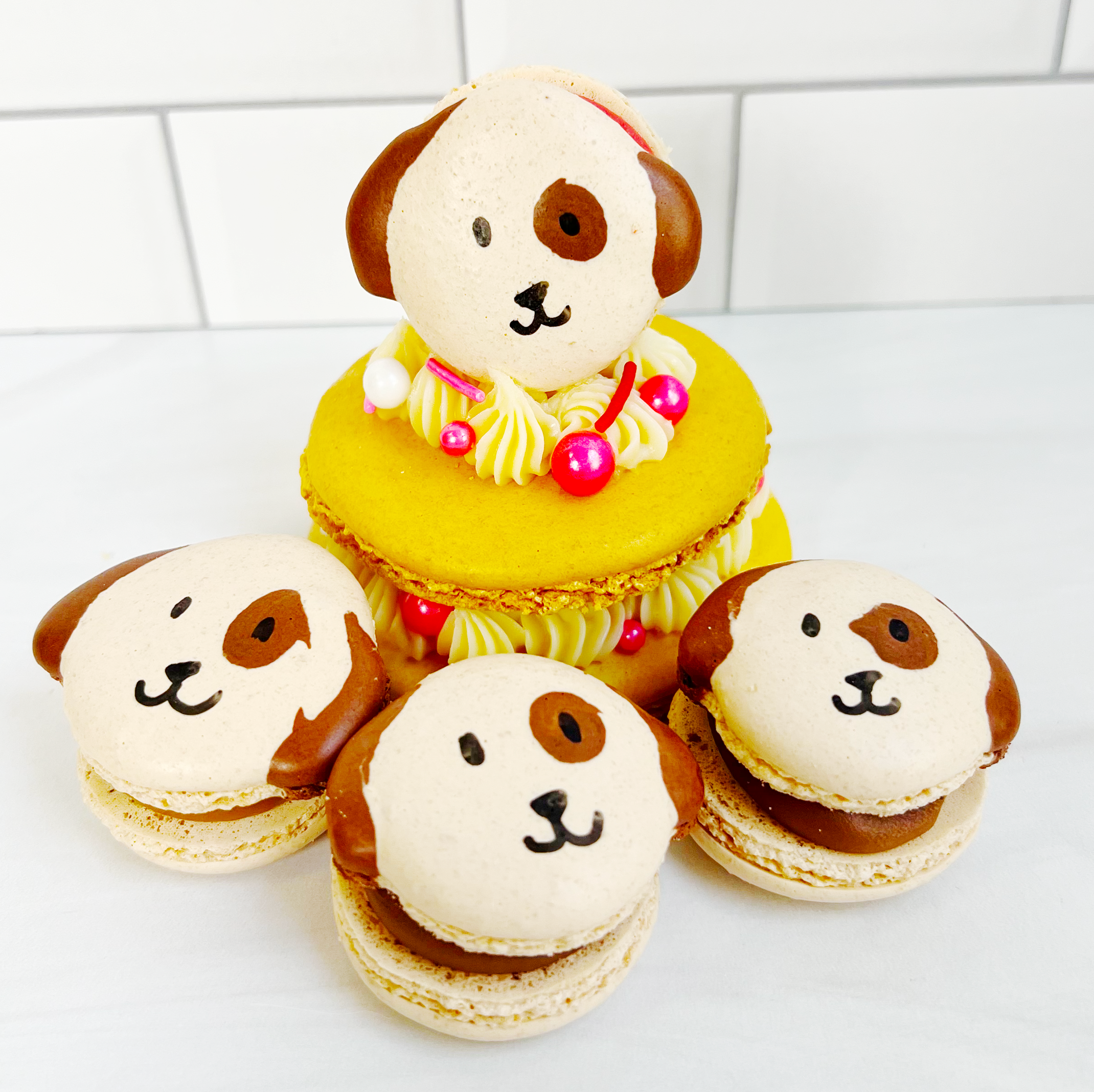 Dog Macarons