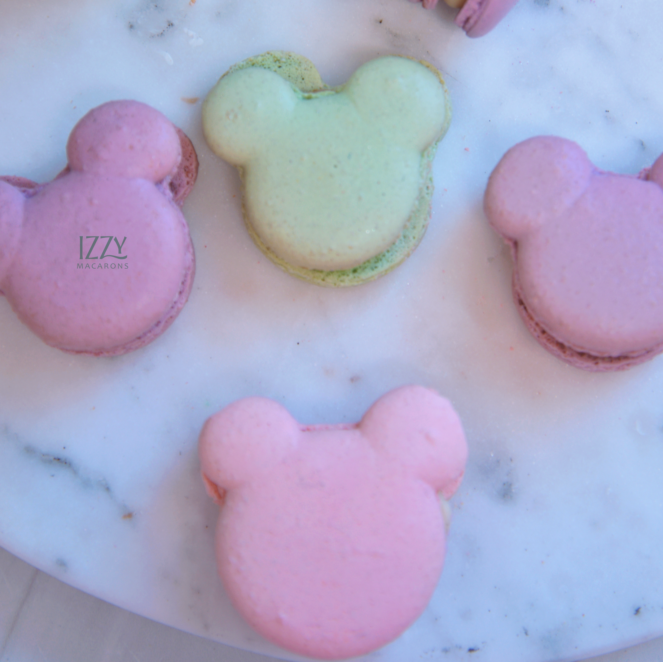 Mouse Pastel Macarons
