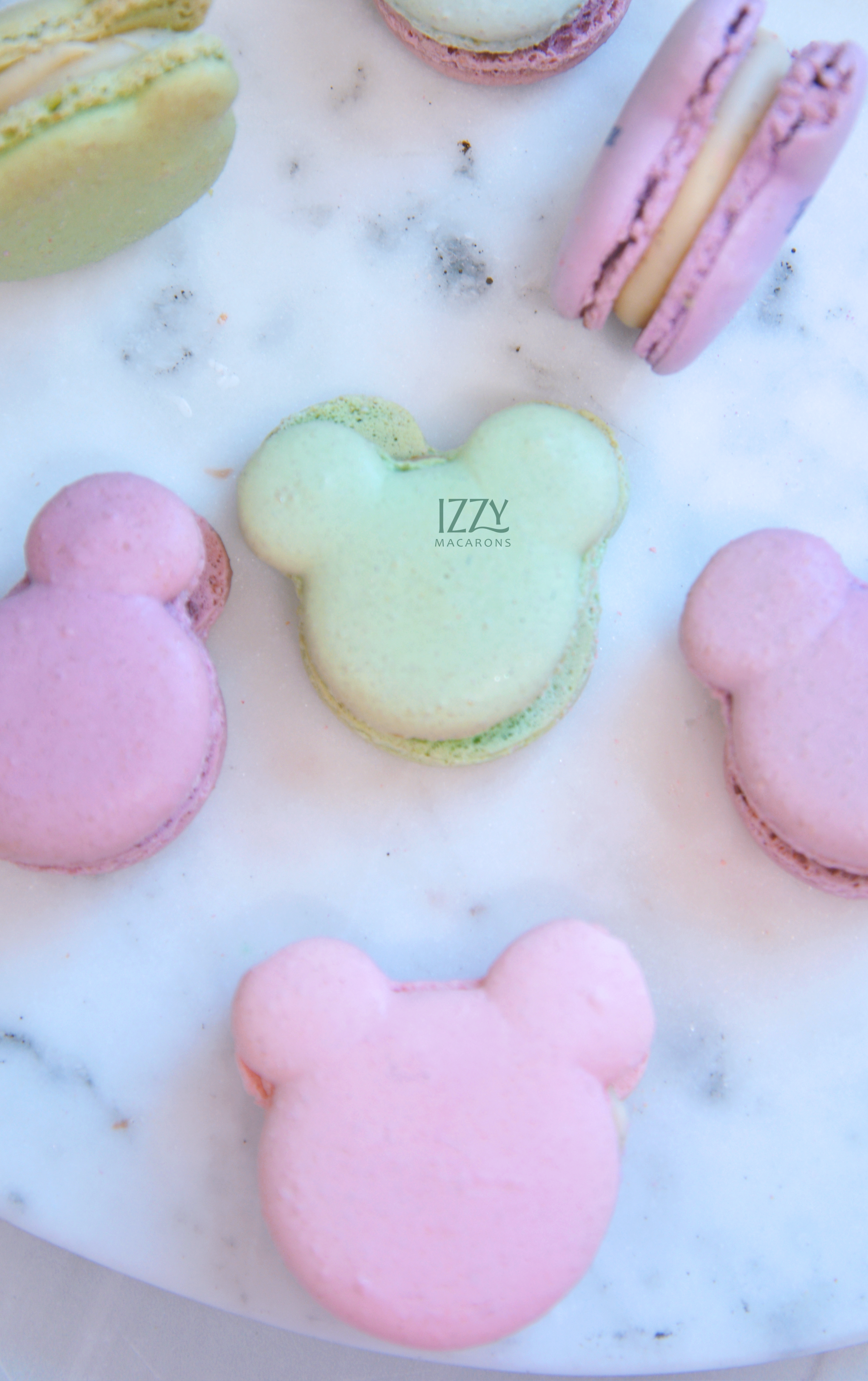 Mouse Pastel Macarons