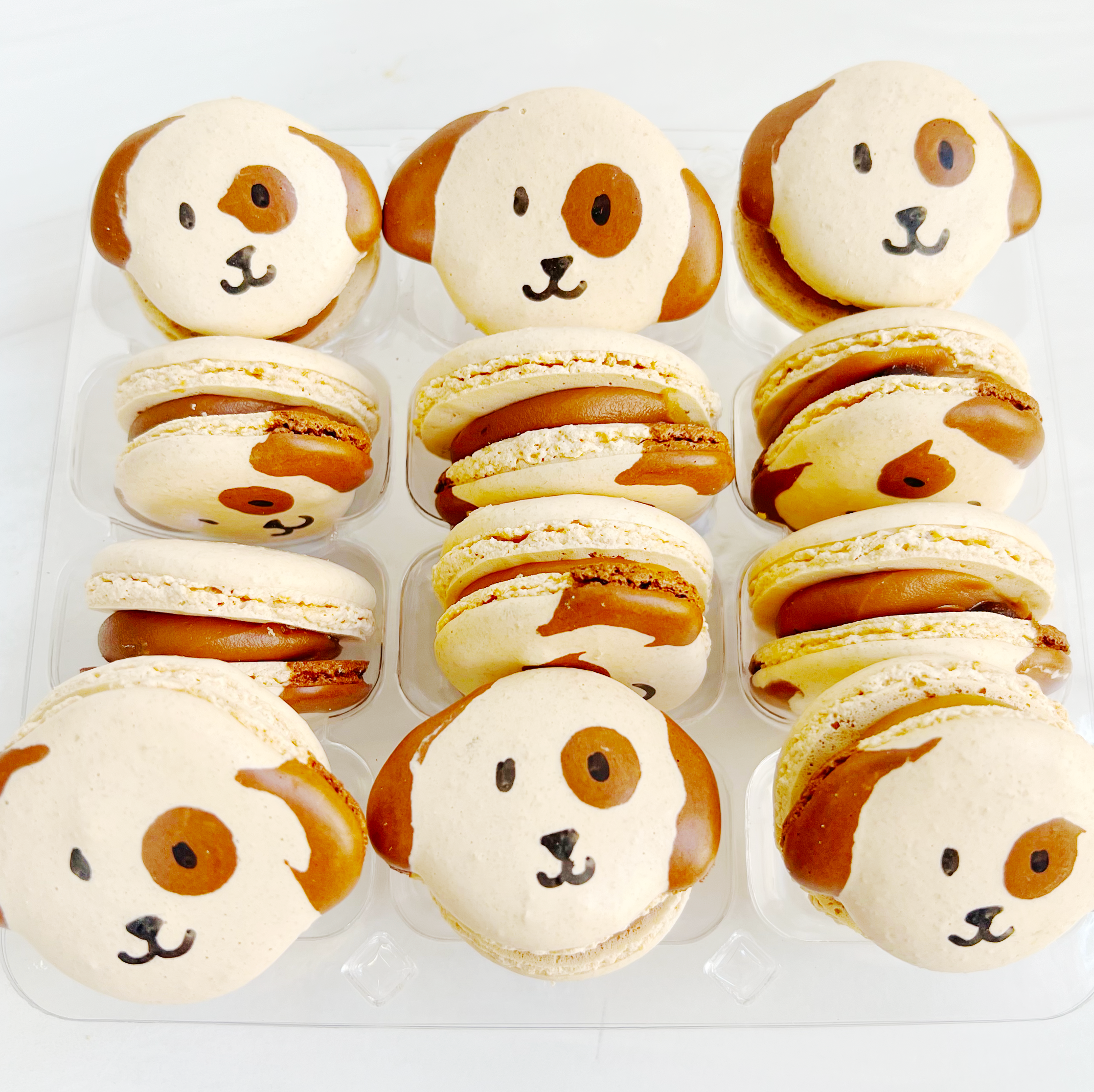 Dog Macarons