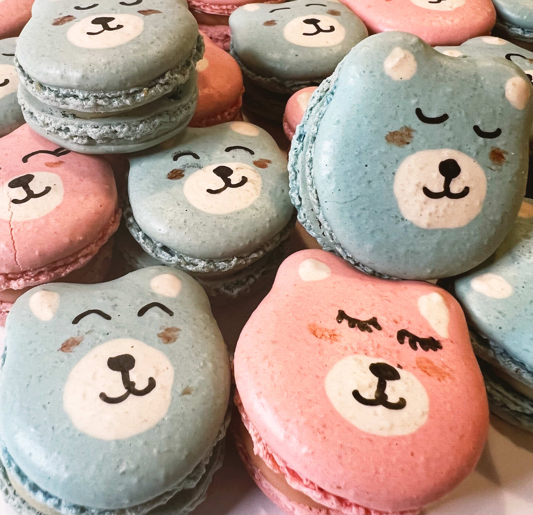 Pink and Blue Teddy Bears Macarons - Izzy Macarons