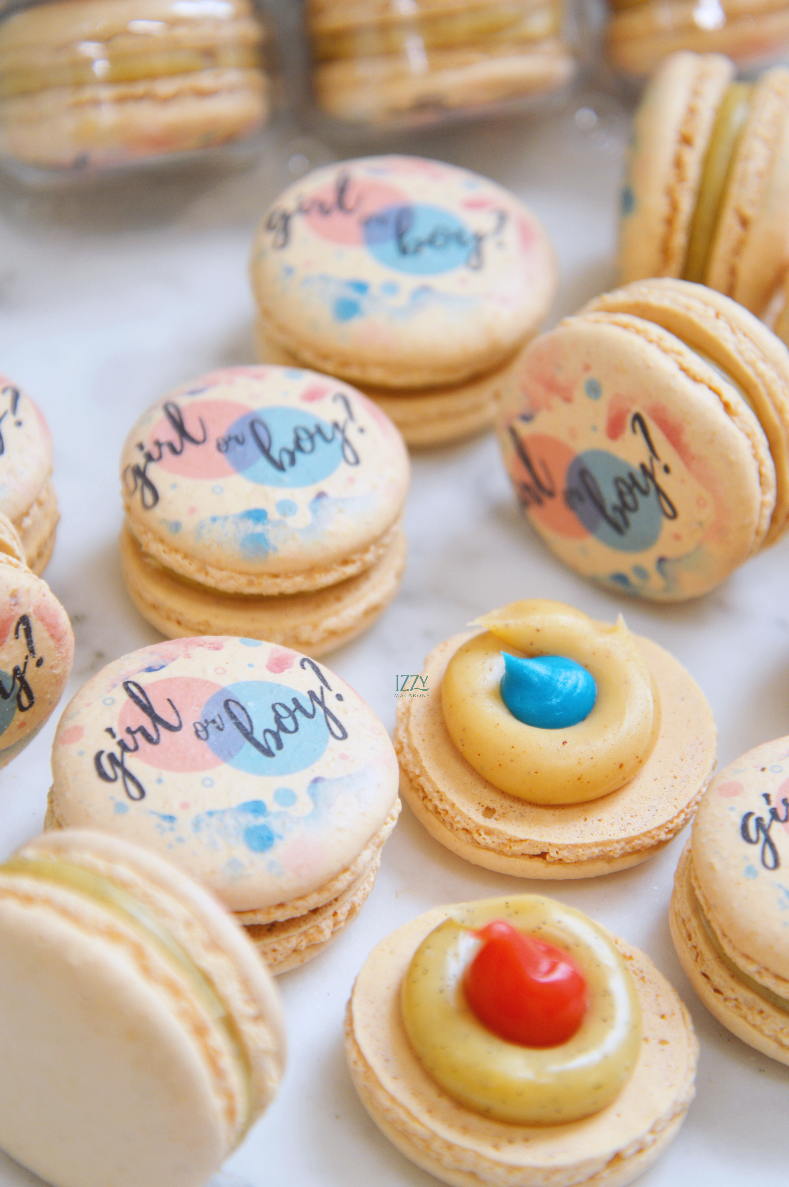 Gender Reveal Macarons / Boy or Girl?