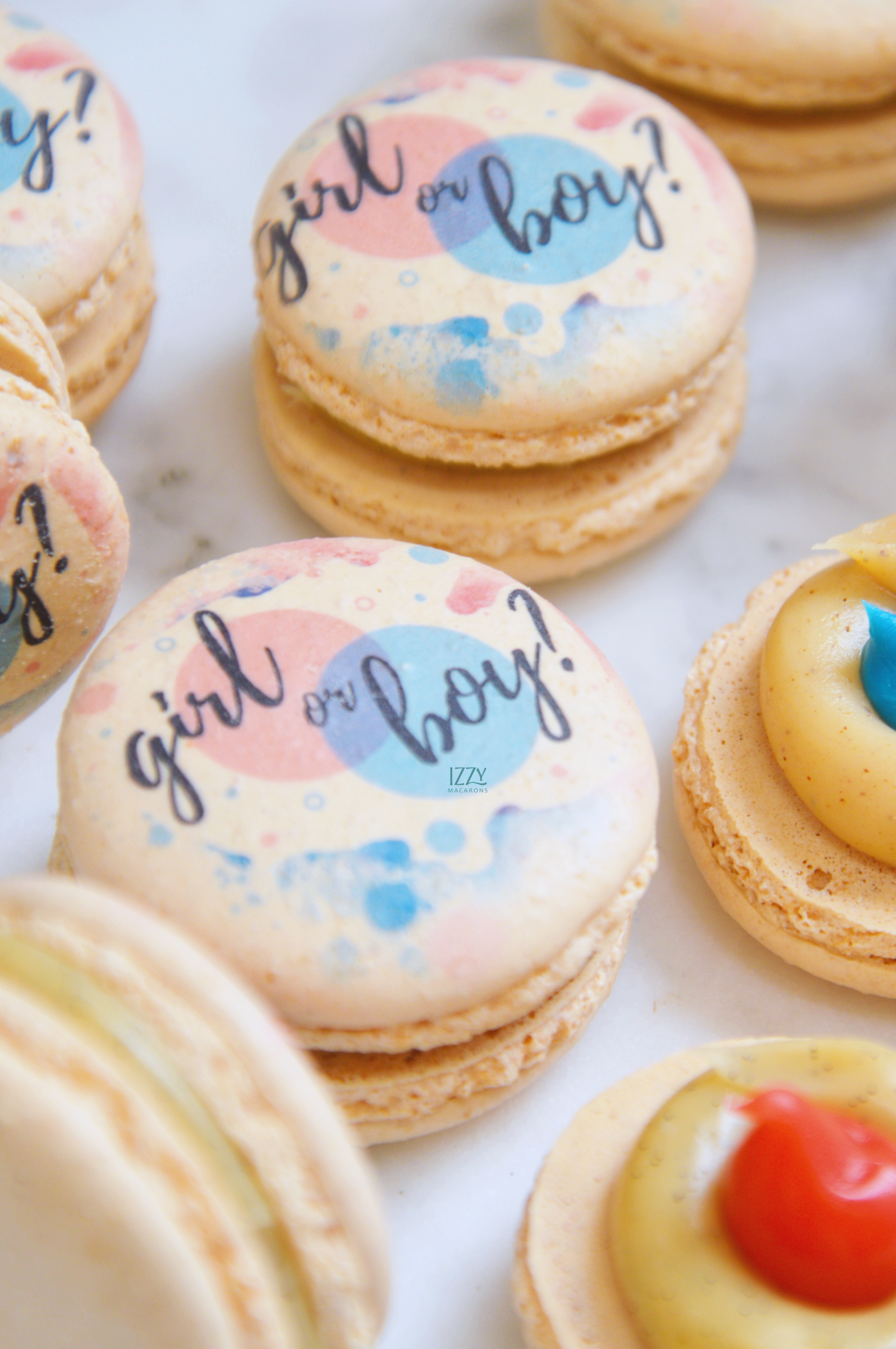 Gender Reveal Macarons / Boy or Girl?