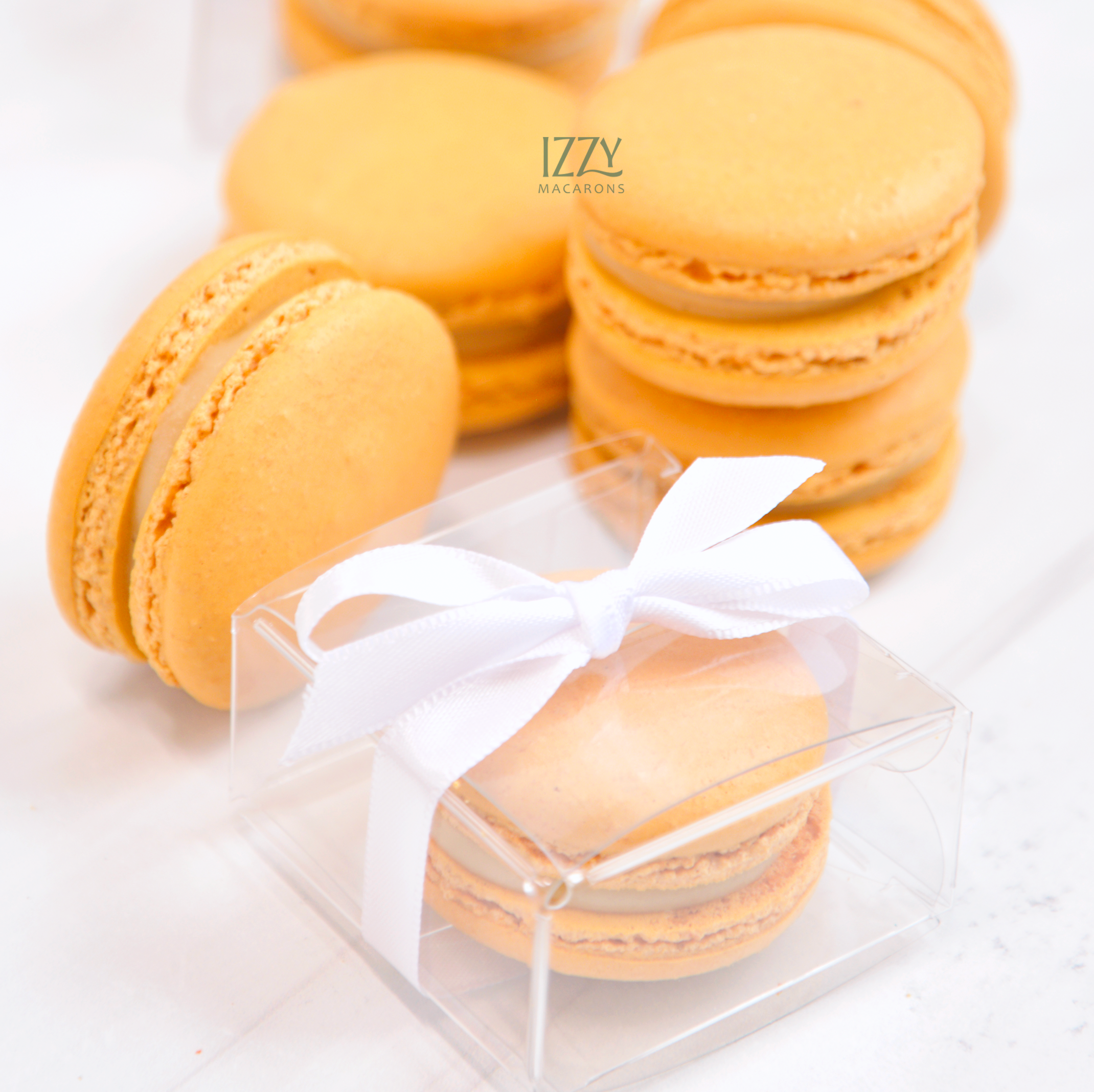 Individual Party Favor Macarons