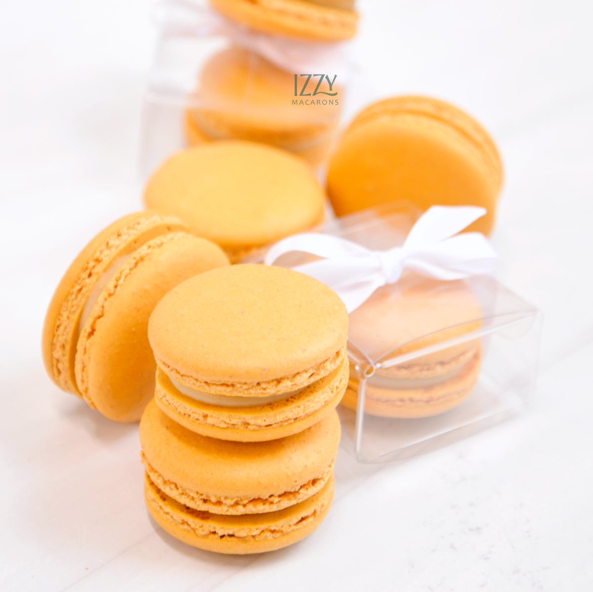 Individual Party Favor Macarons