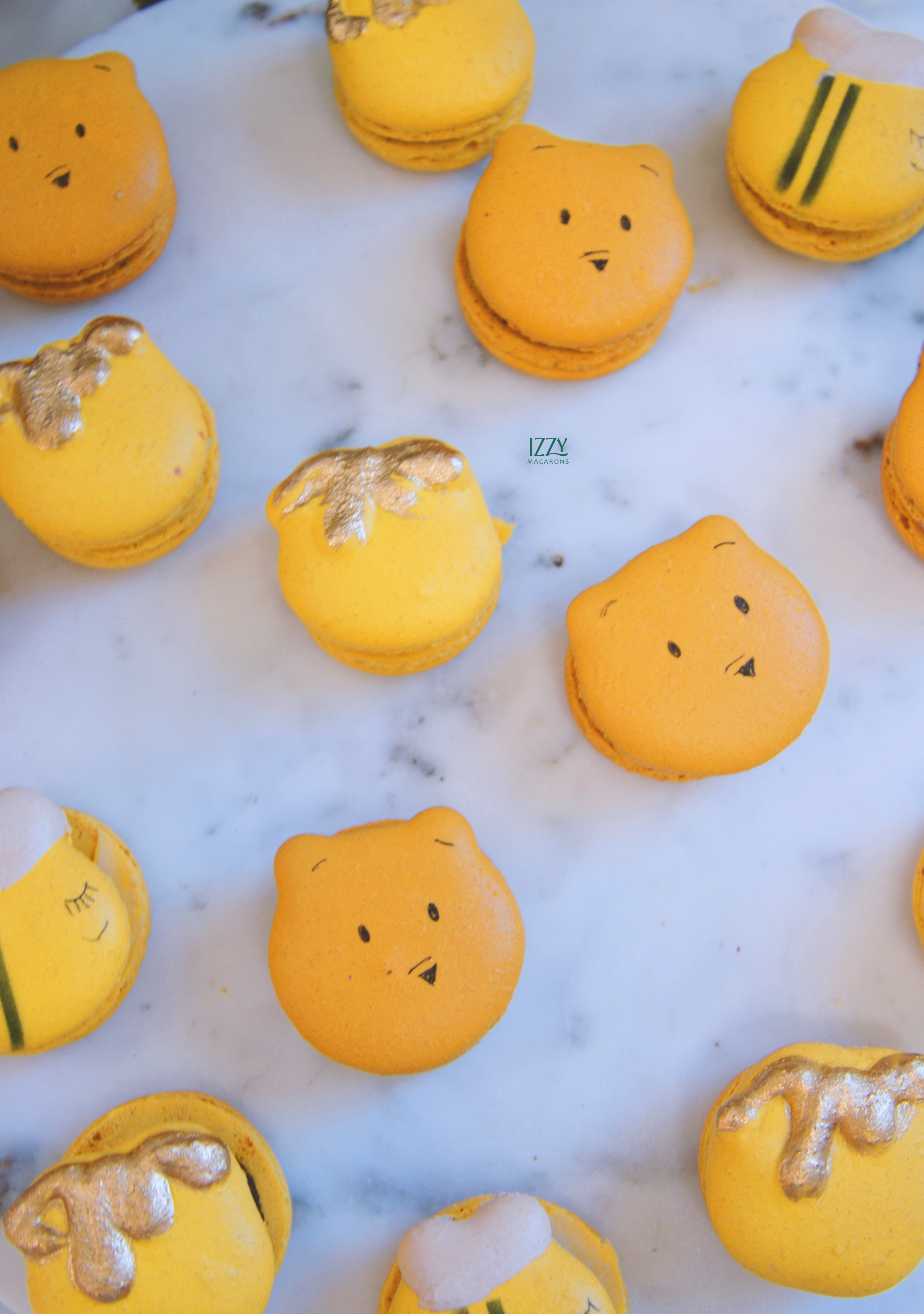 Honey Pot, Winnie and Bees Macarons