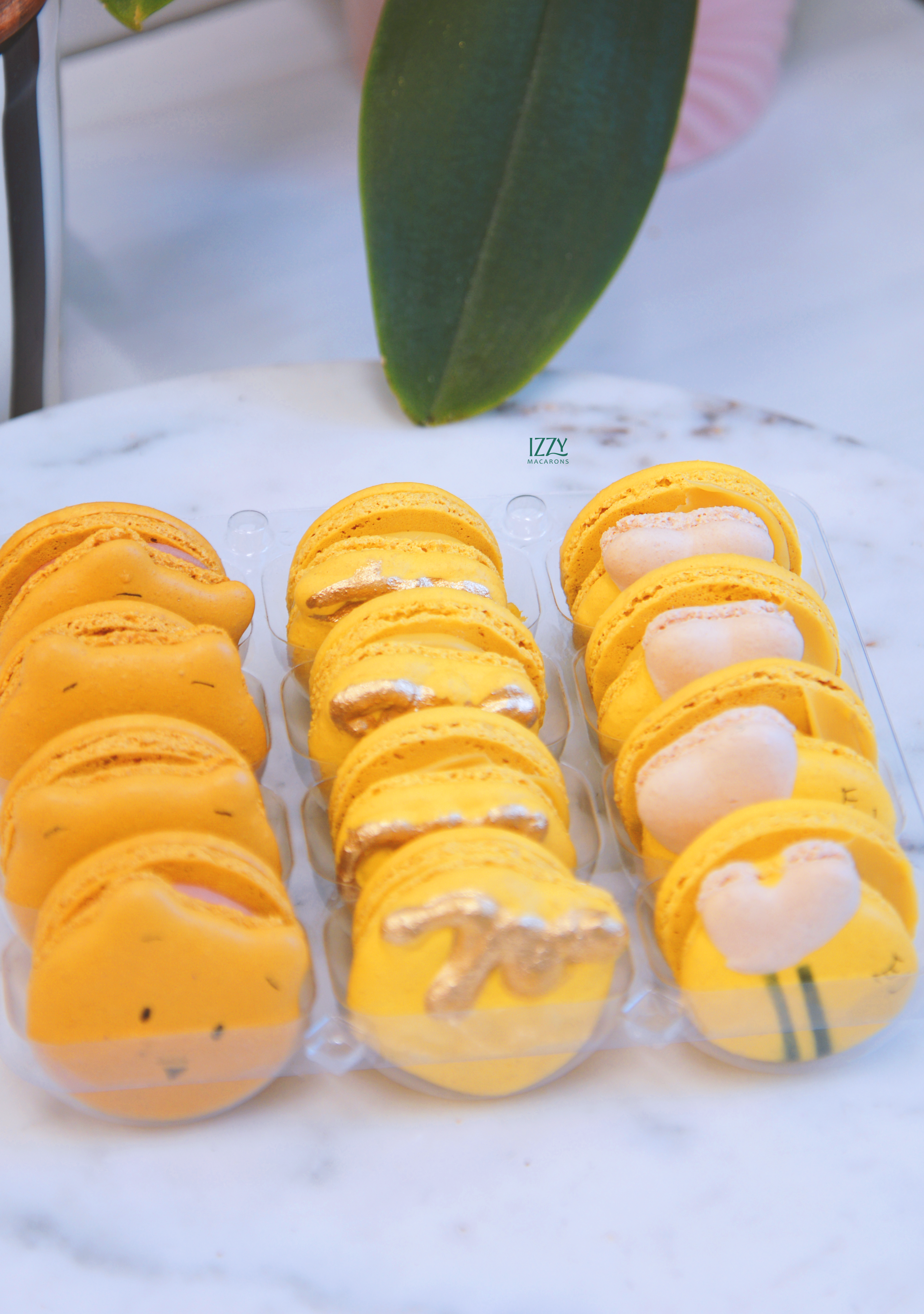 Honey Pot, Winnie and Bees Macarons