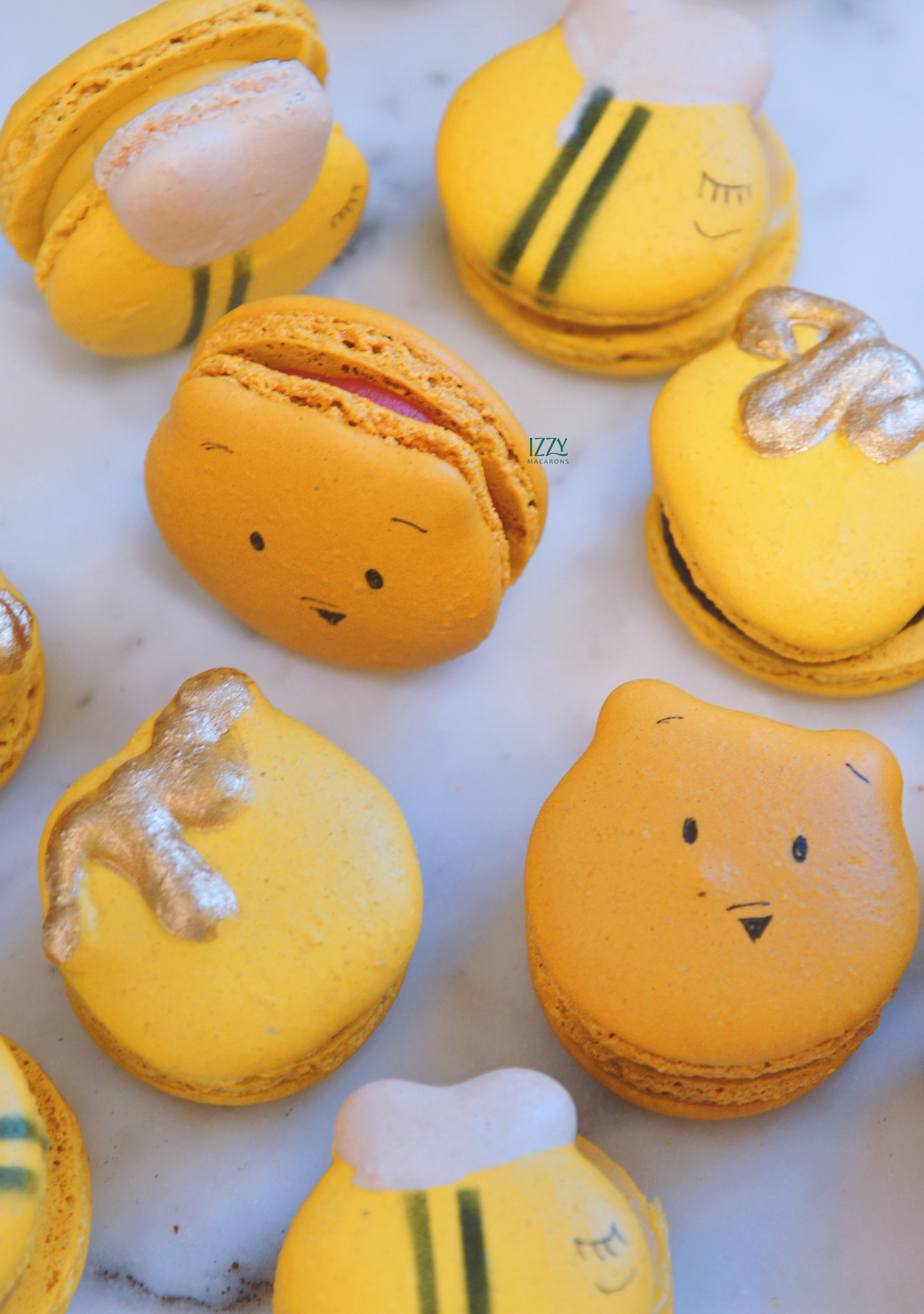 Honey Pot, Winnie and Bees Macarons