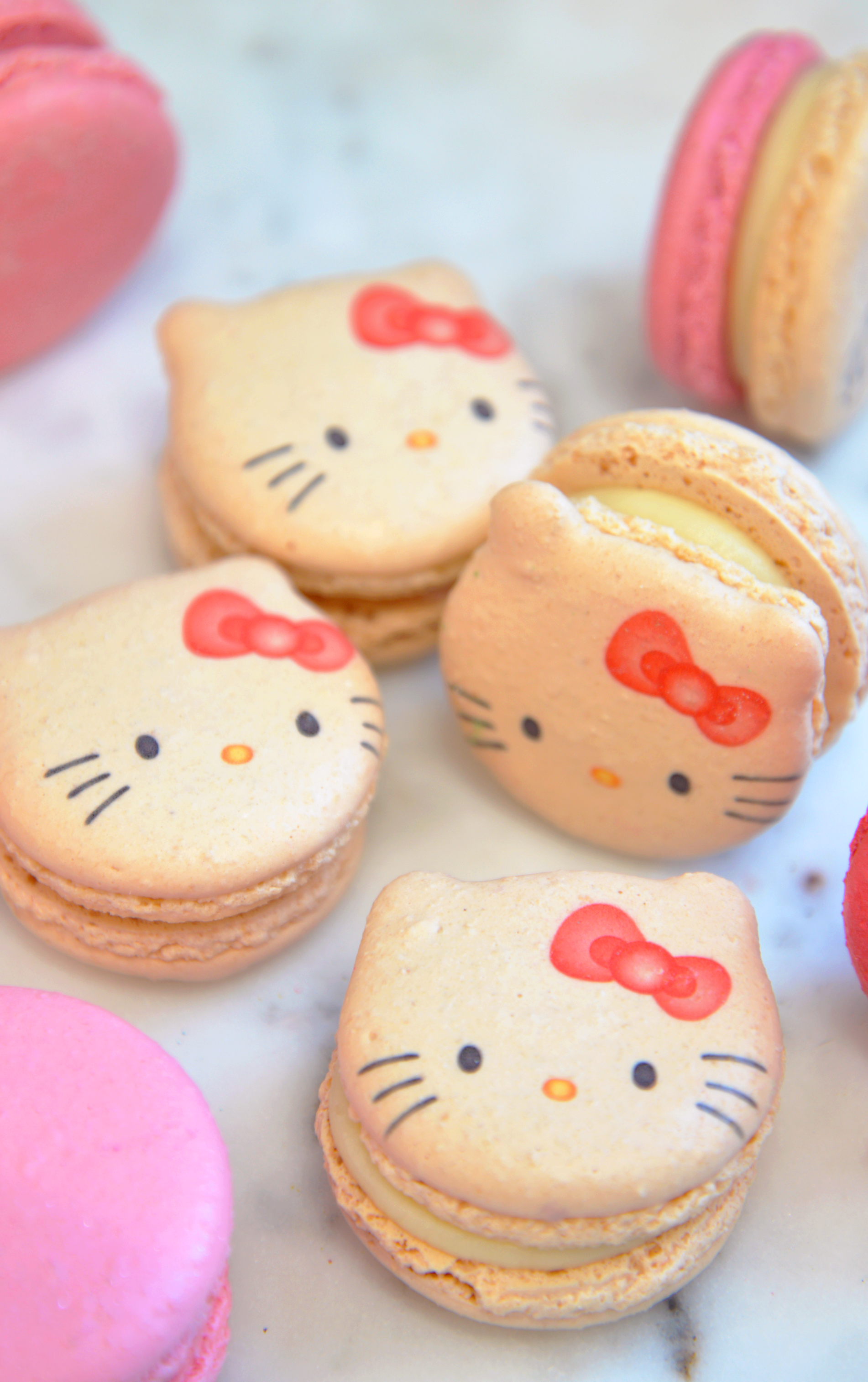 Kitty Cat Macarons