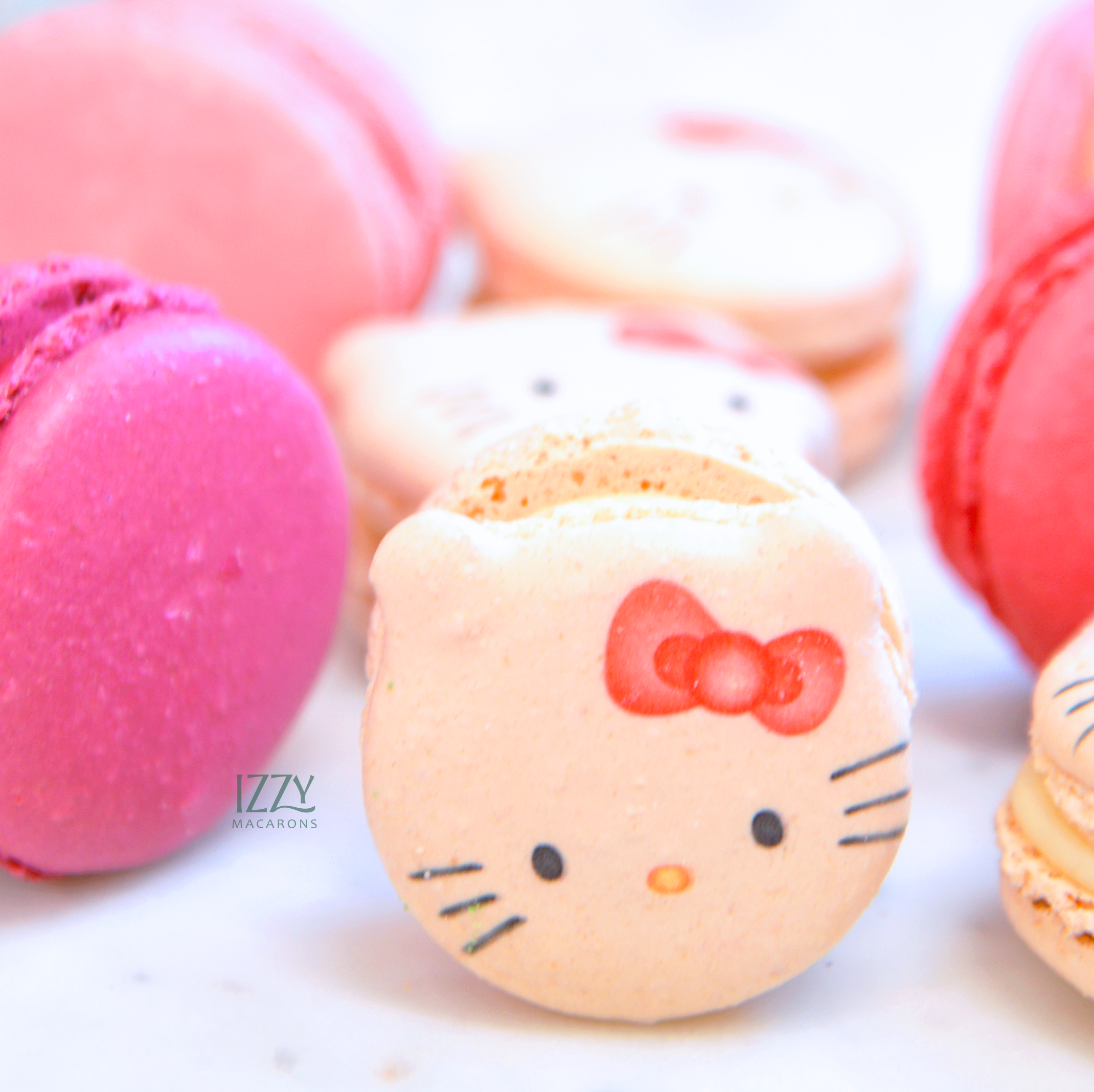 Kitty Cat Macarons