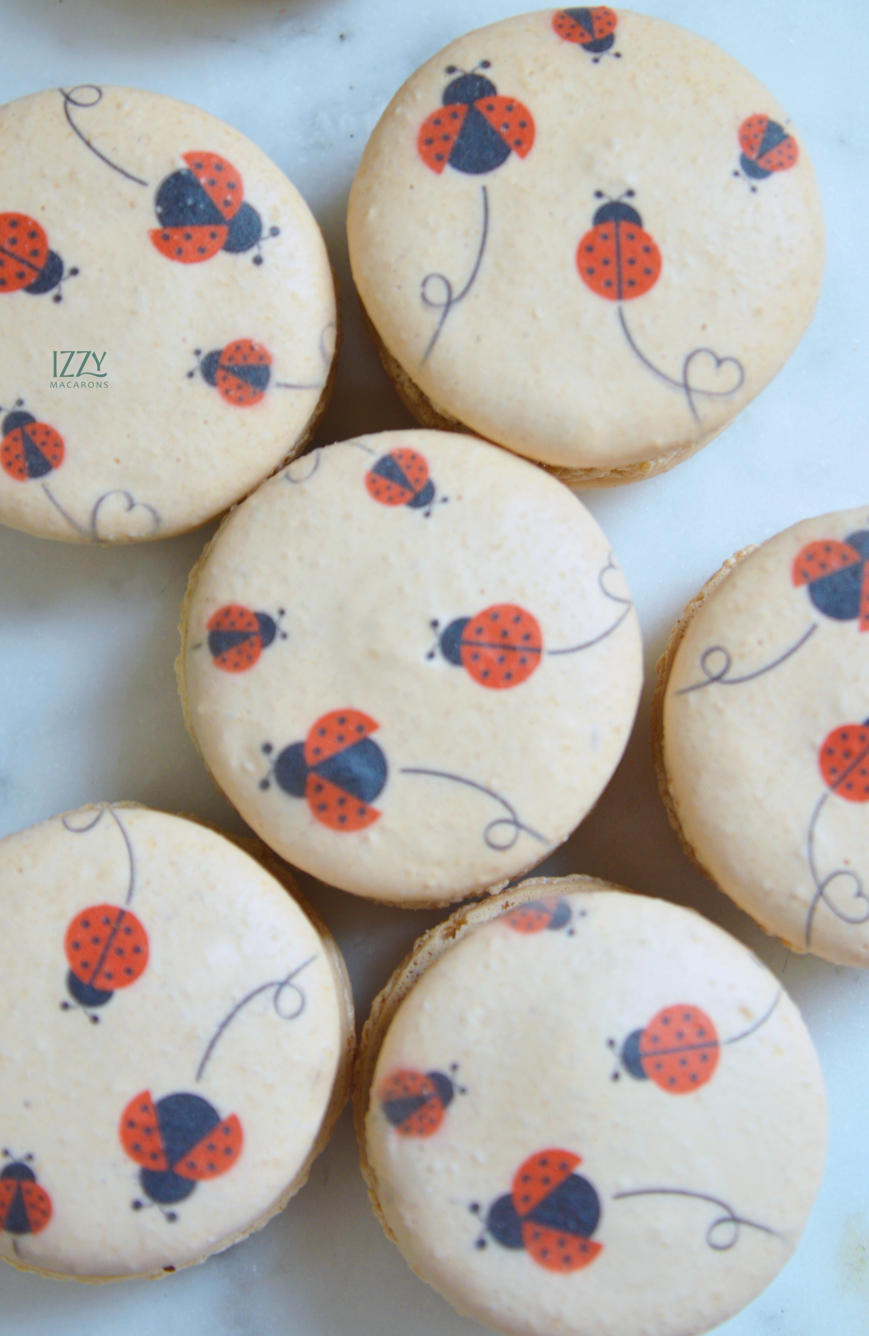 Ladybug Macarons