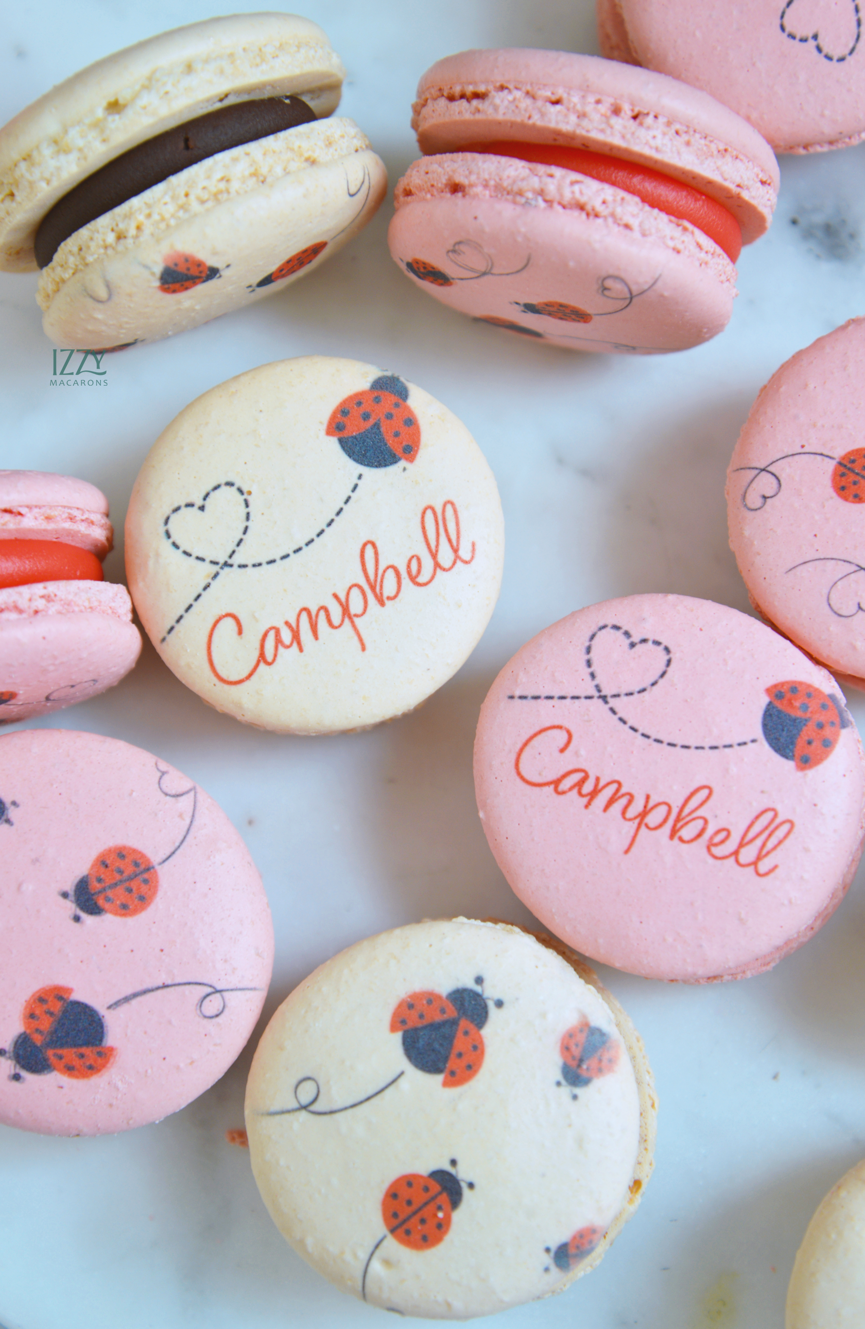 Ladybug Macarons