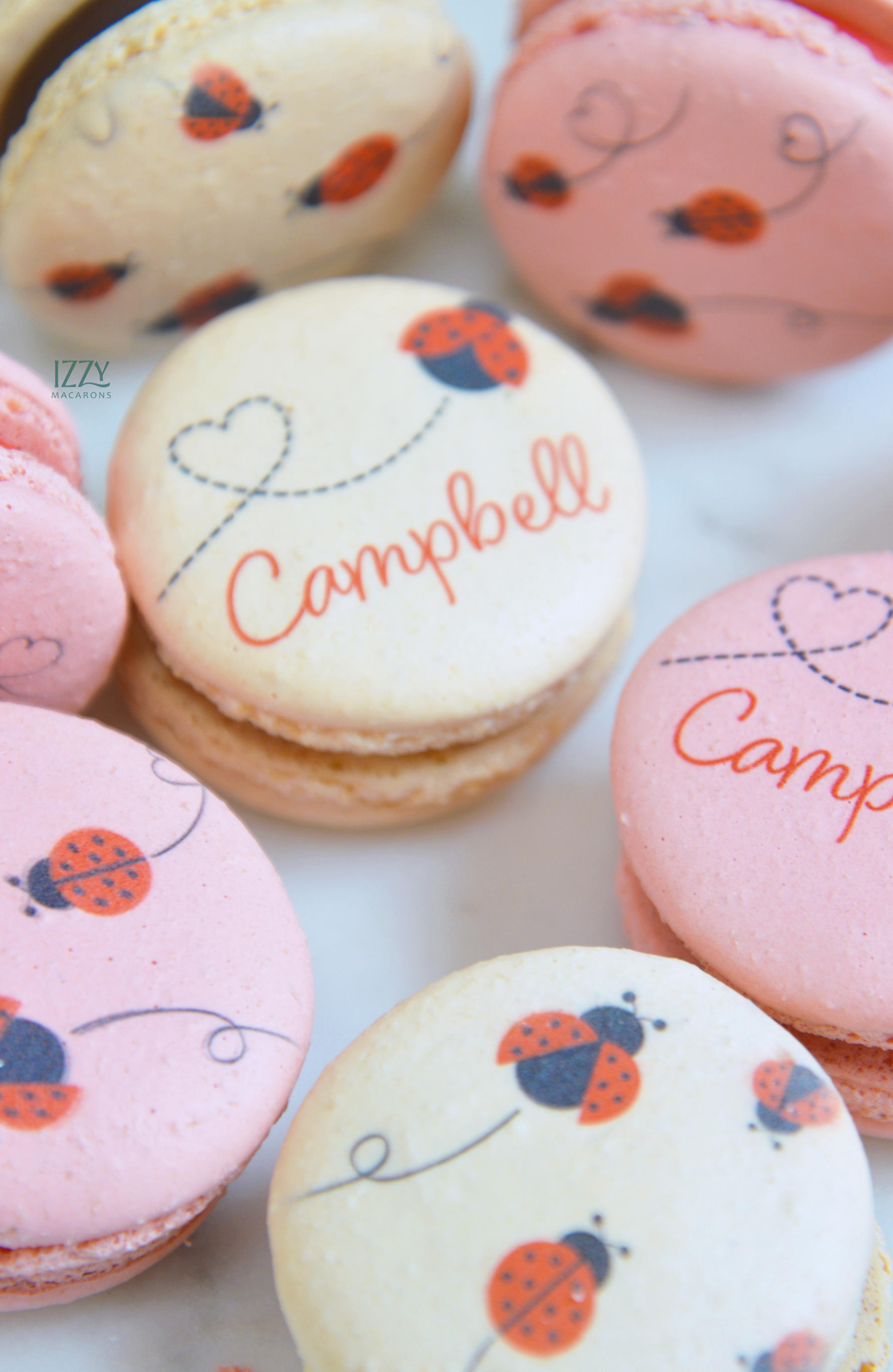 Ladybug Macarons