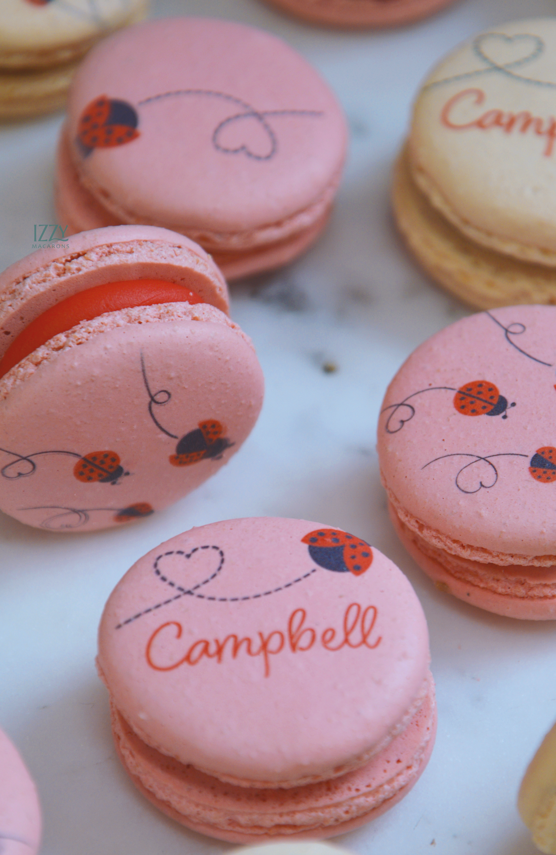 Ladybug Macarons