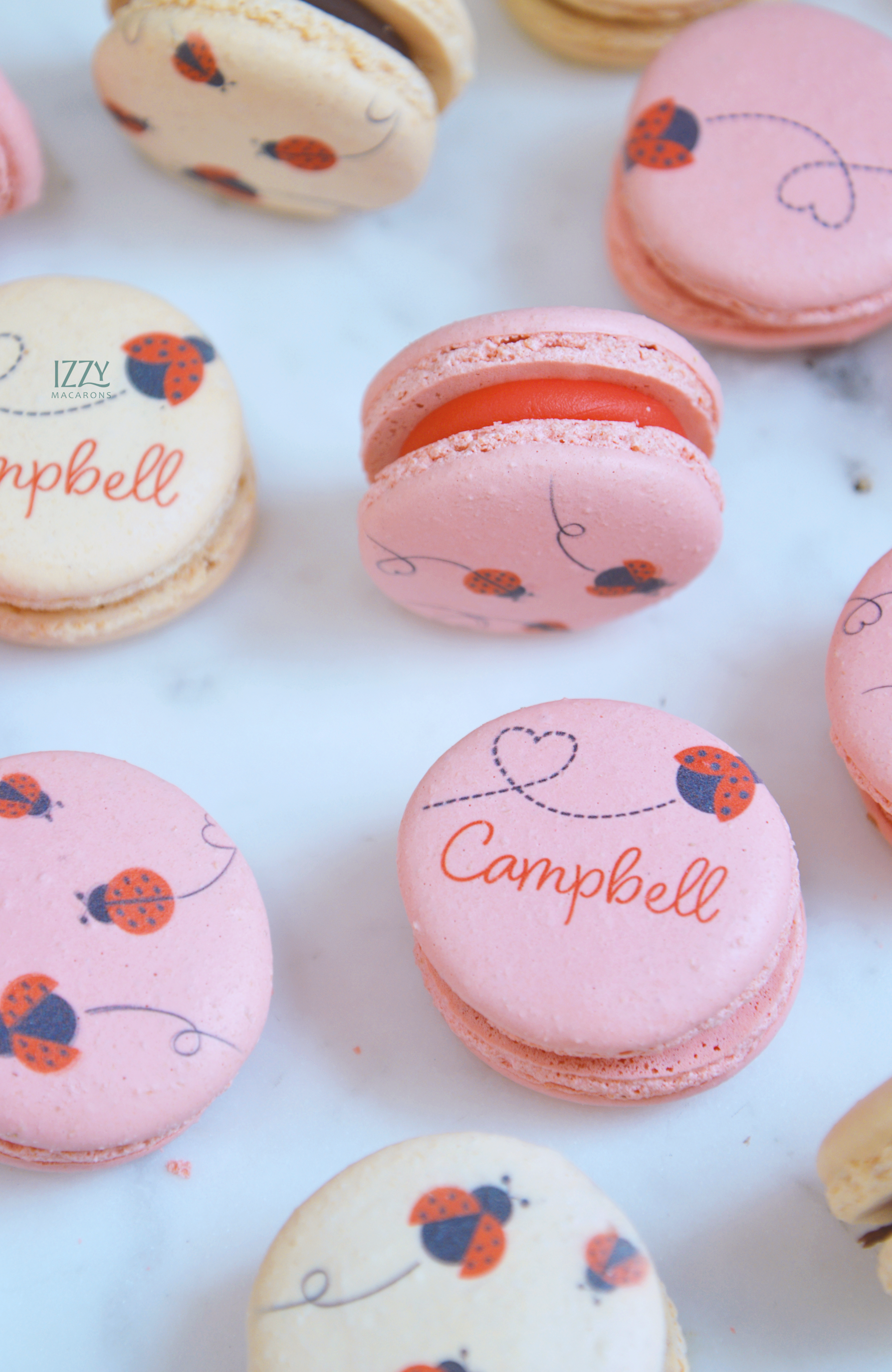 Ladybug Macarons