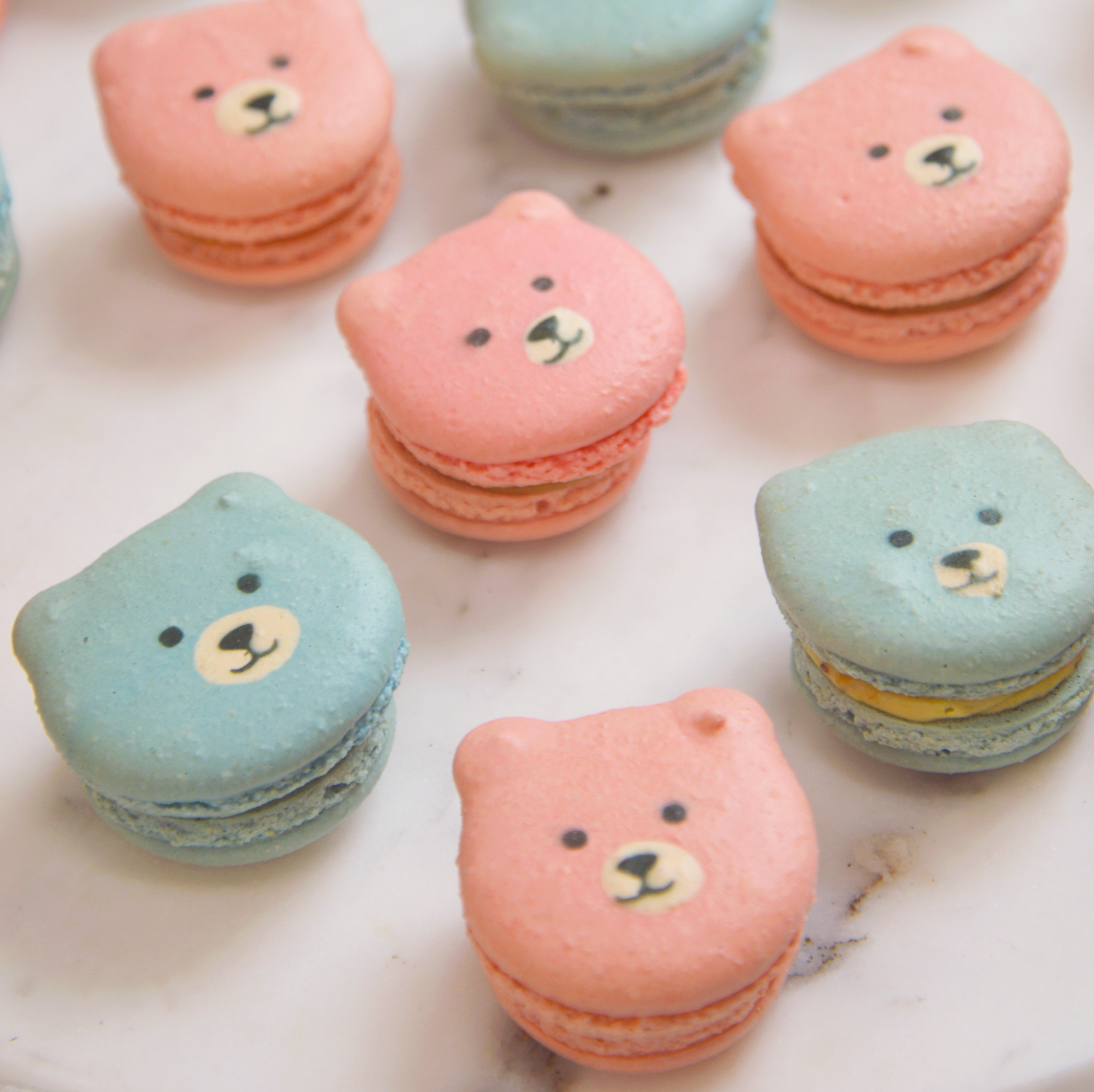 Pink and Blue Teddy Bears Macarons