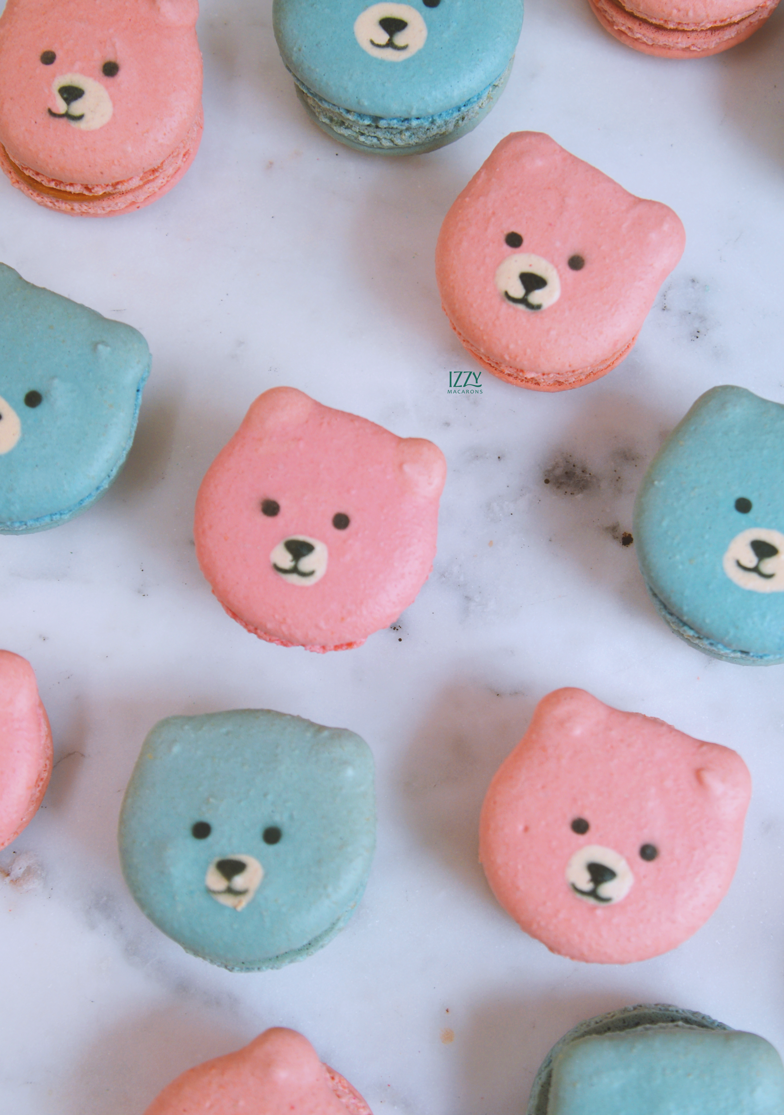 Pink and Blue Teddy Bears Macarons