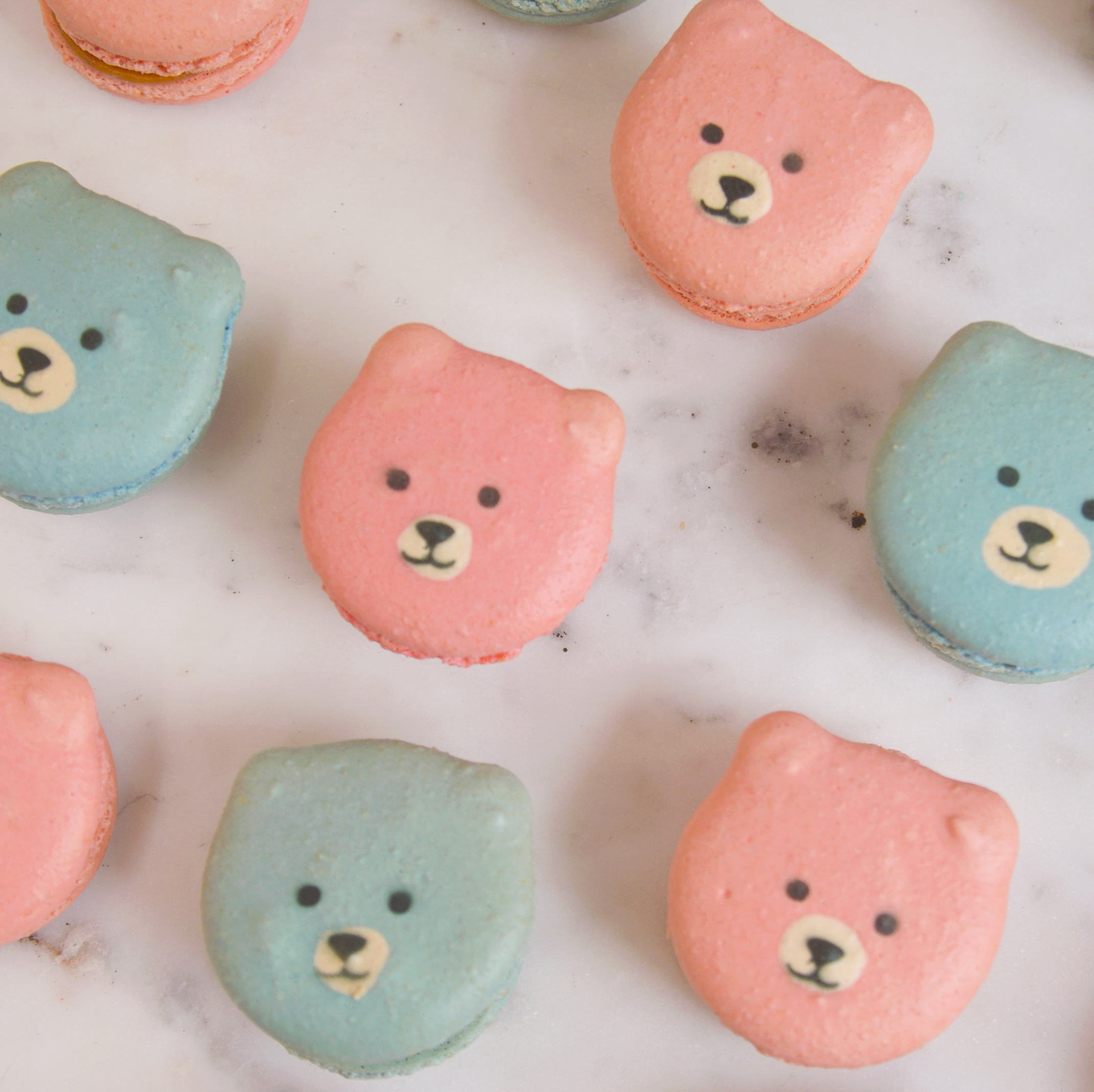 Pink and Blue Teddy Bears Macarons