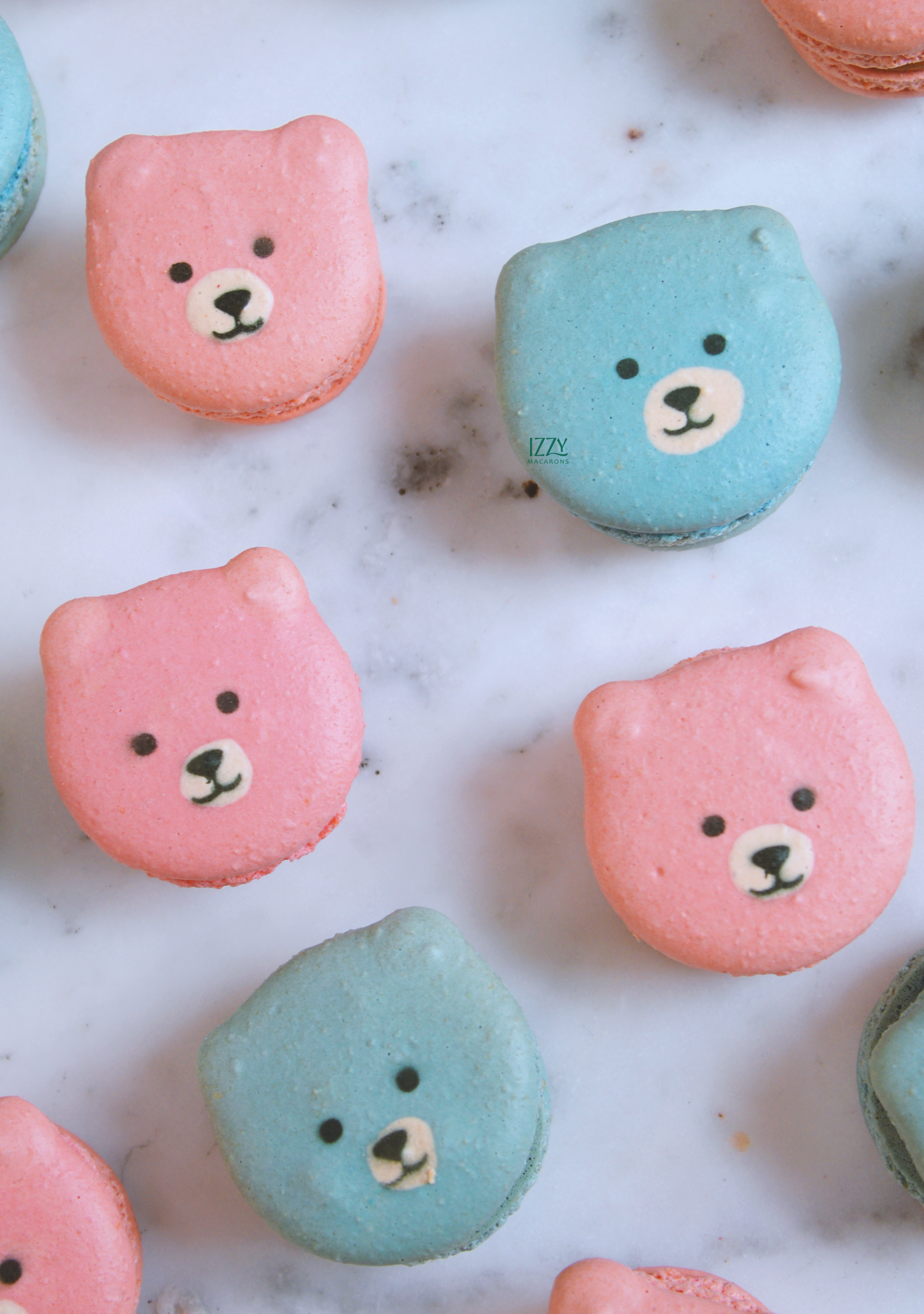 Pink and Blue Teddy Bears Macarons