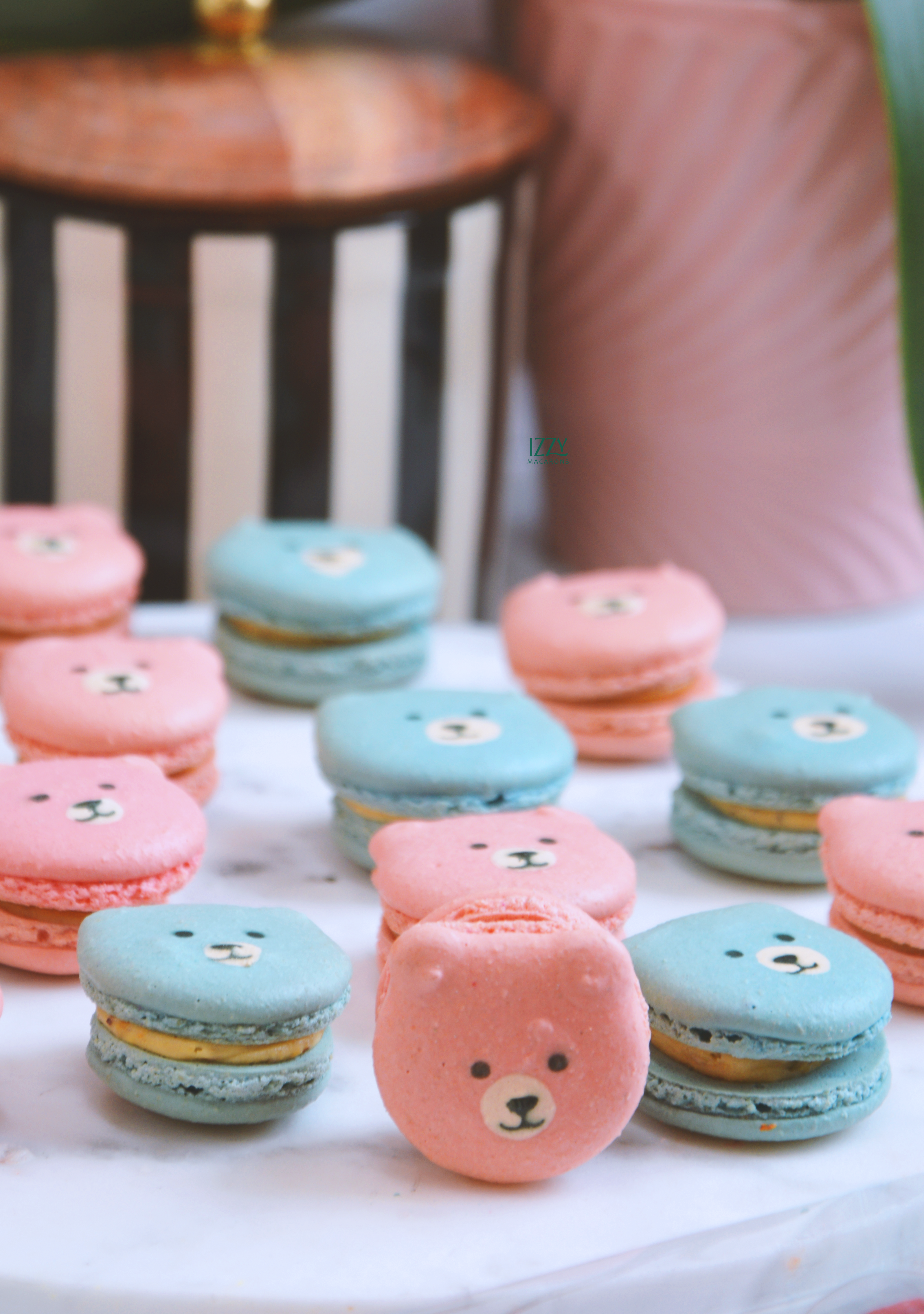 Pink and Blue Teddy Bears Macarons