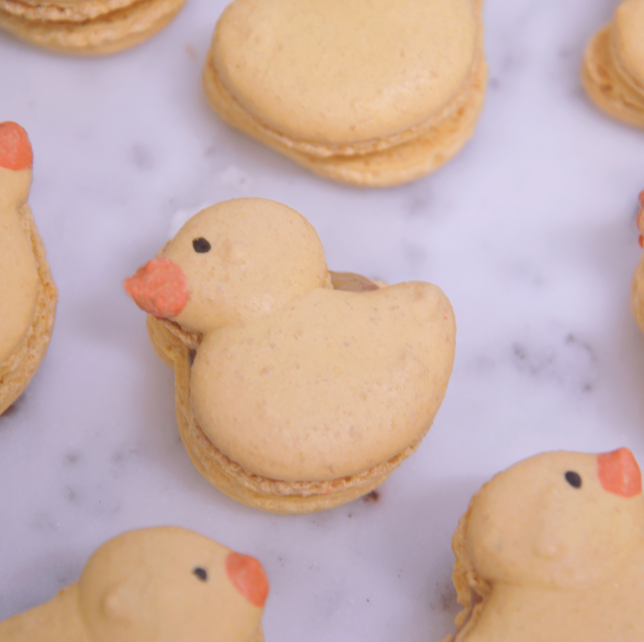 Rubber Duck Macarons