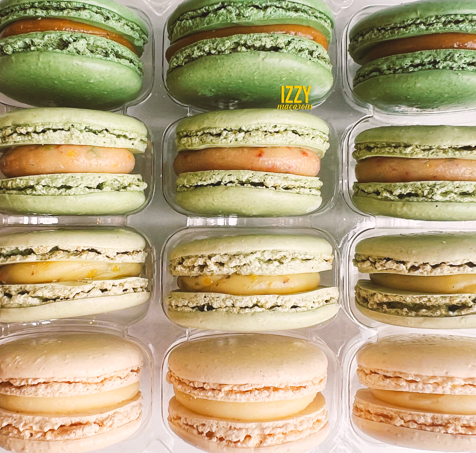 Sage Green Ombre Macarons