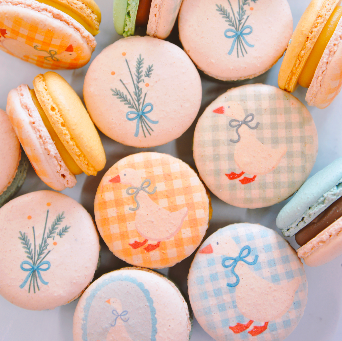 One Silly Birthday Macarons - Silly Goose Baby shower