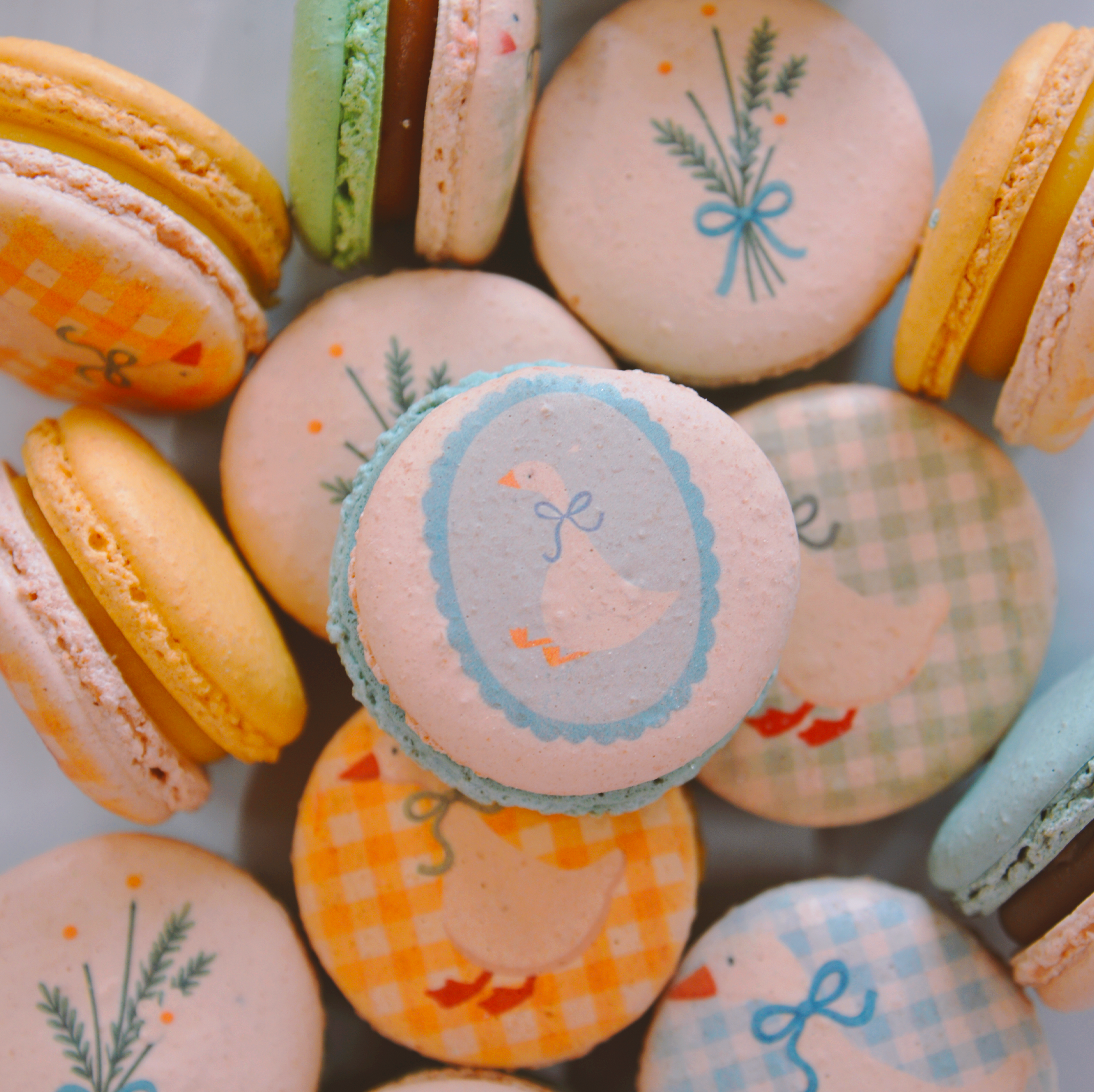 One Silly Birthday Macarons - Silly Goose Baby shower