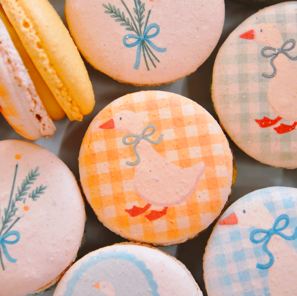 One Silly Birthday Macarons - Silly Goose Baby shower