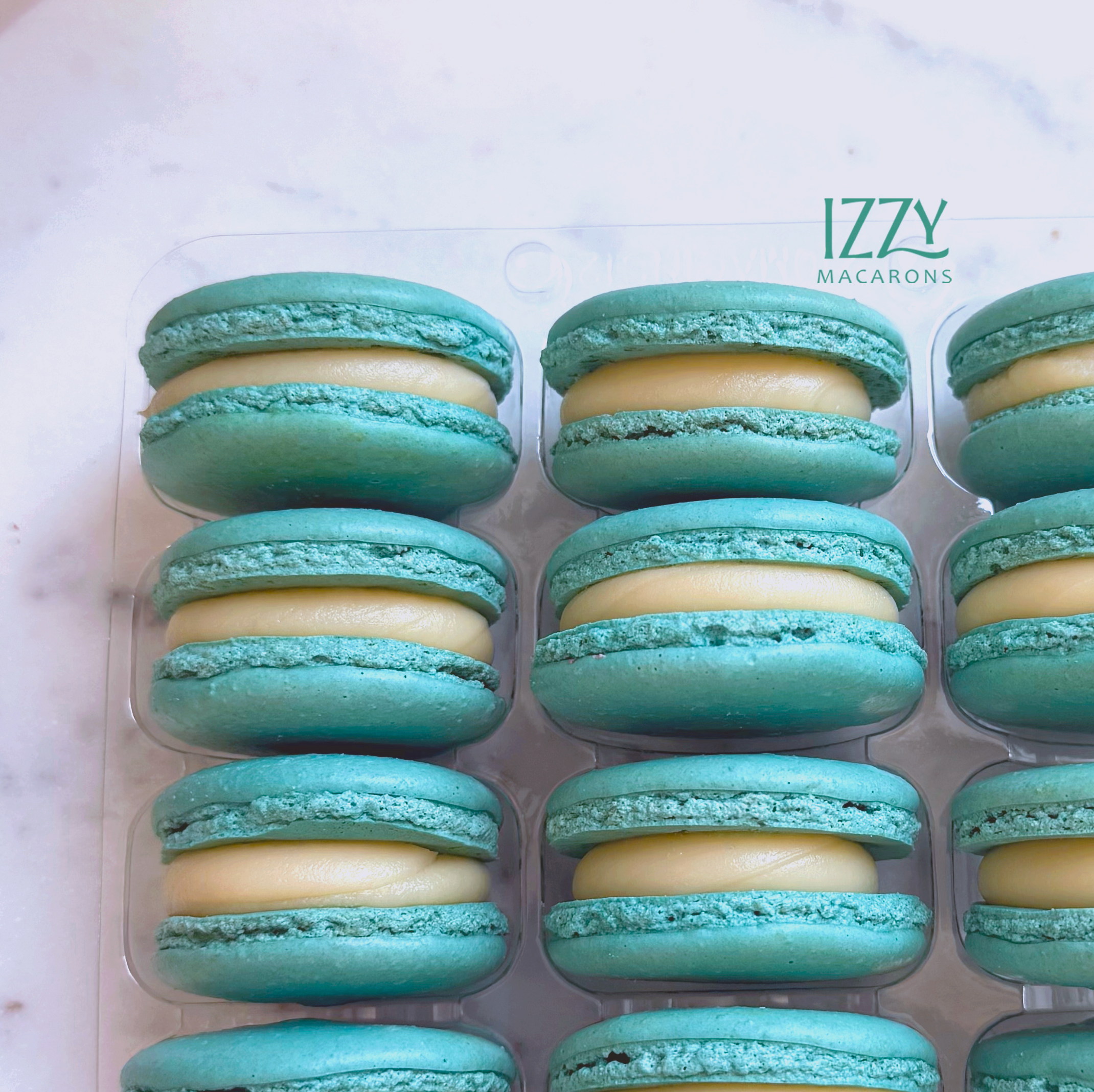 Cheesecake Light Teal - French Macarons