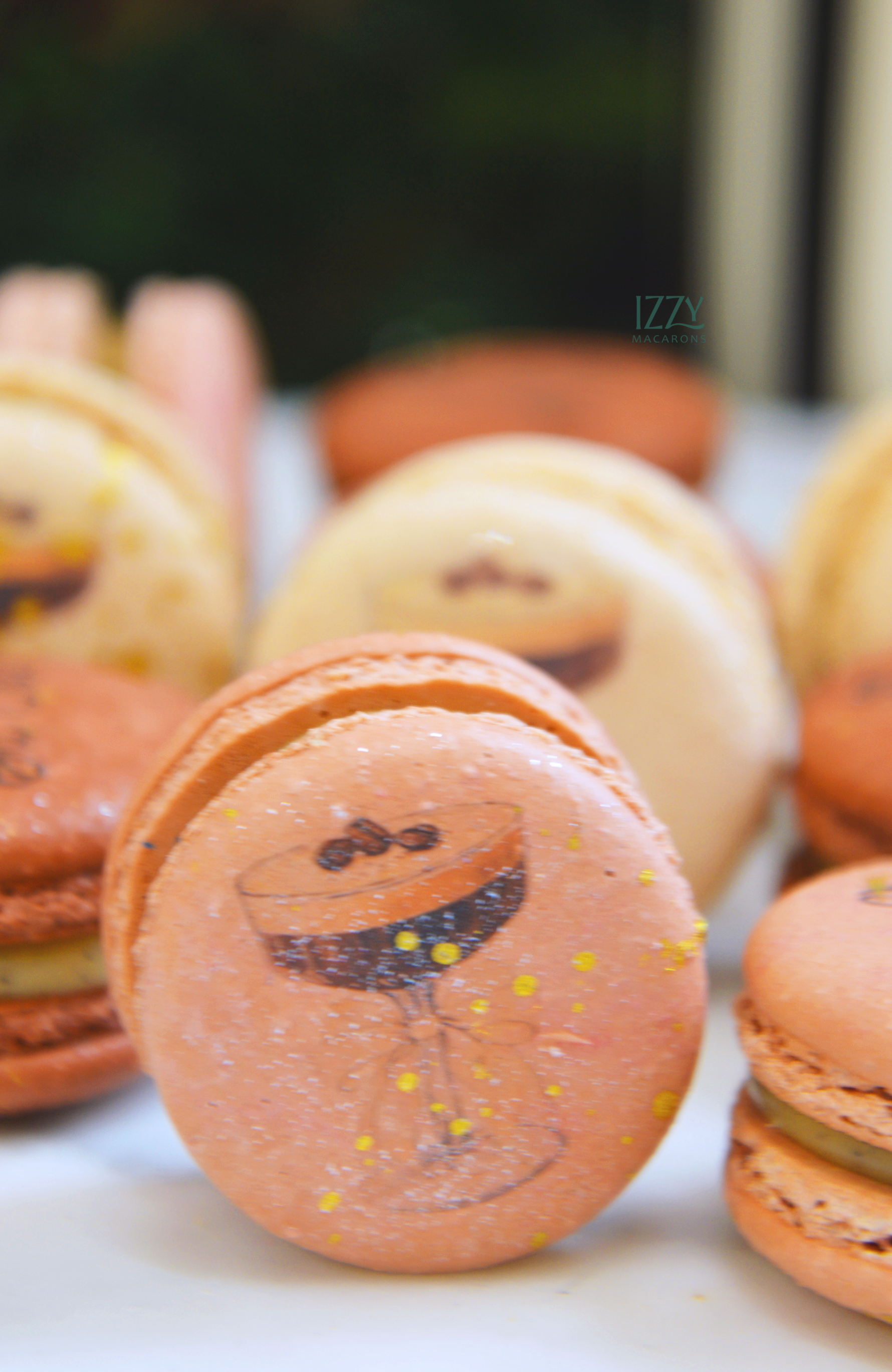 Tini Bit Older- Birthday Macarons