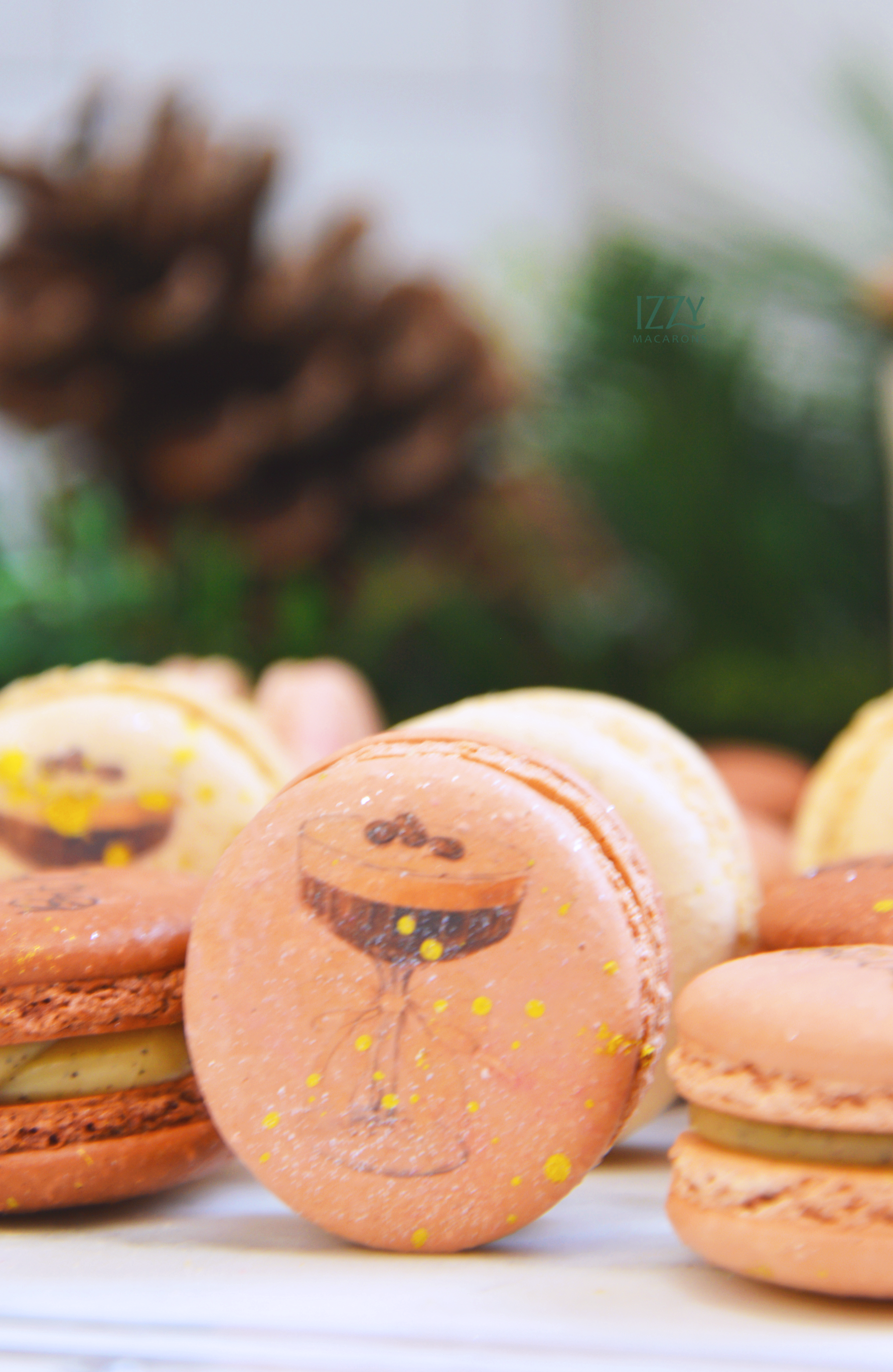 Tini Bit Older- Birthday Macarons