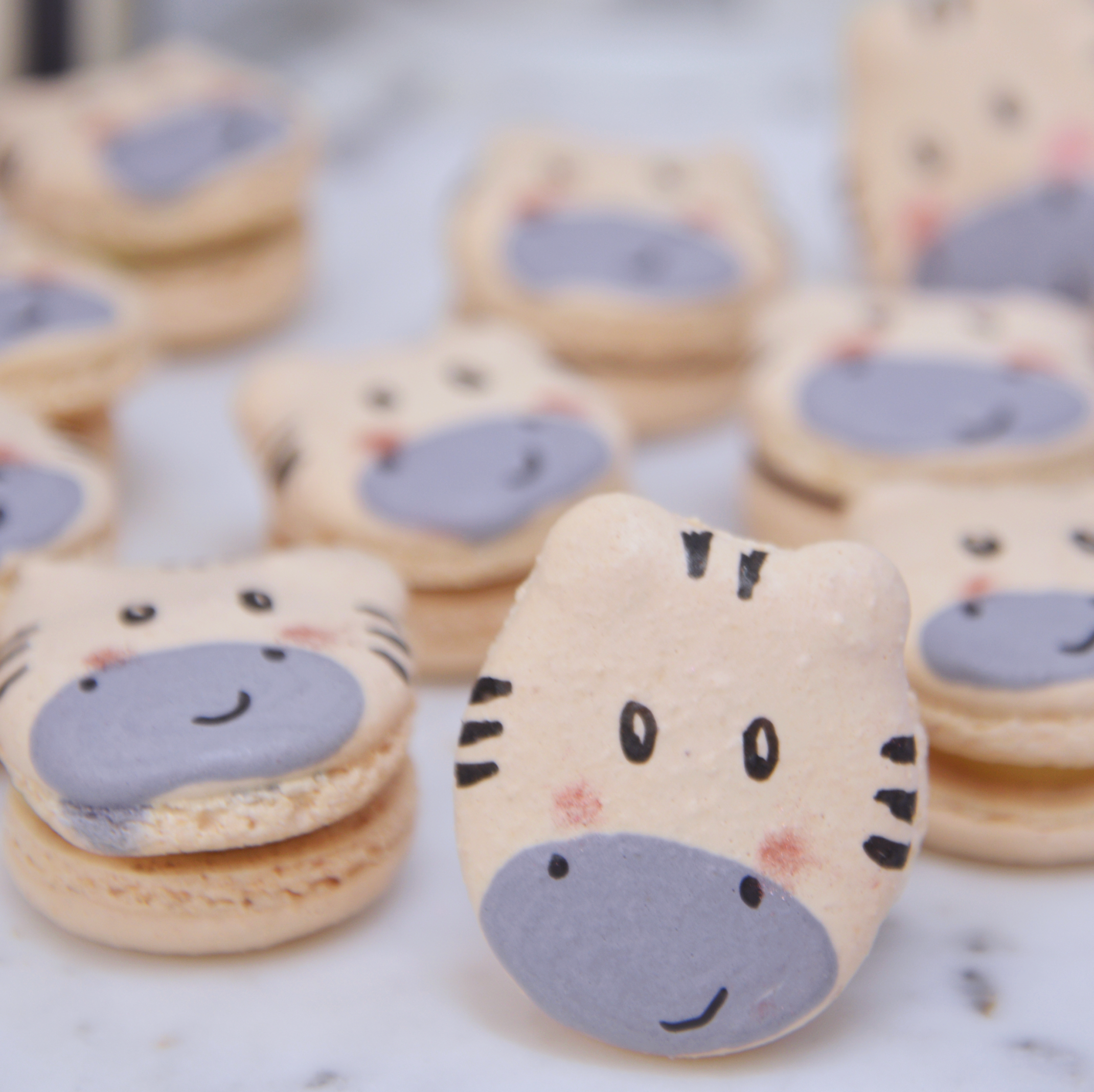 Zebra Macarons