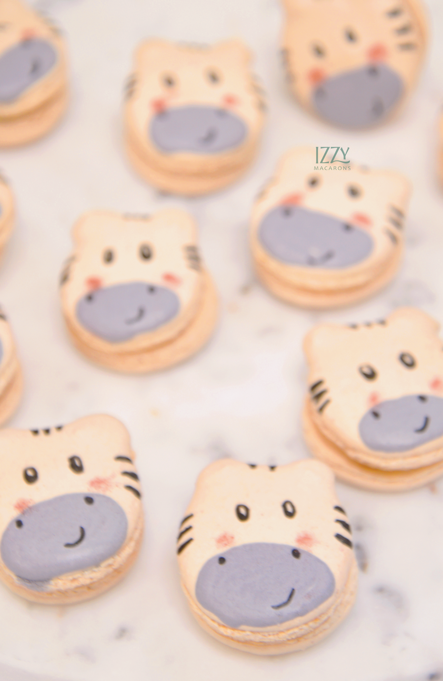 Zebra Shaped Macarons