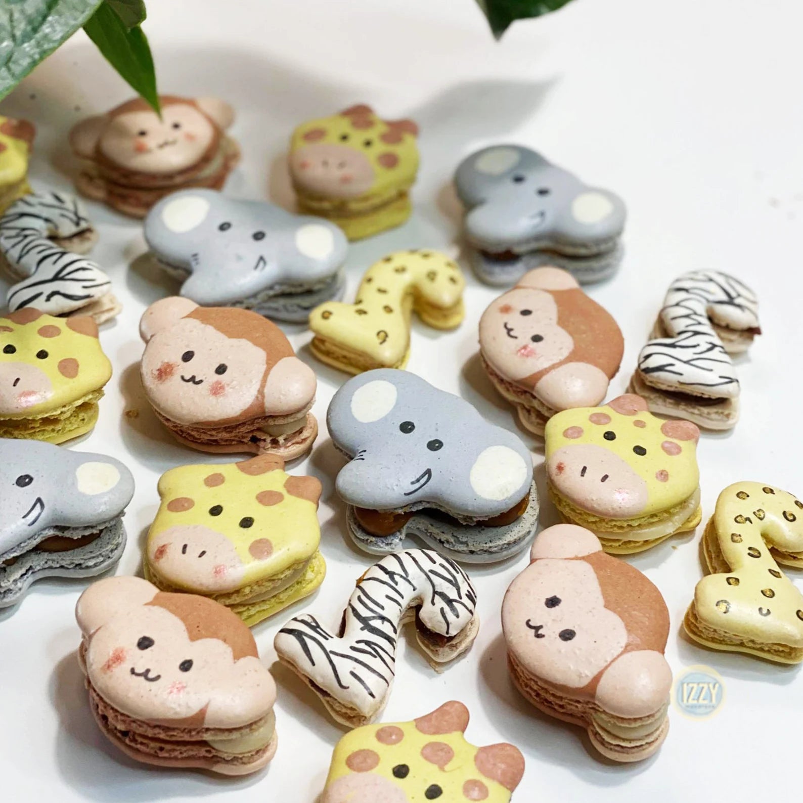 Zoo Animals Macarons - Izzy Macarons