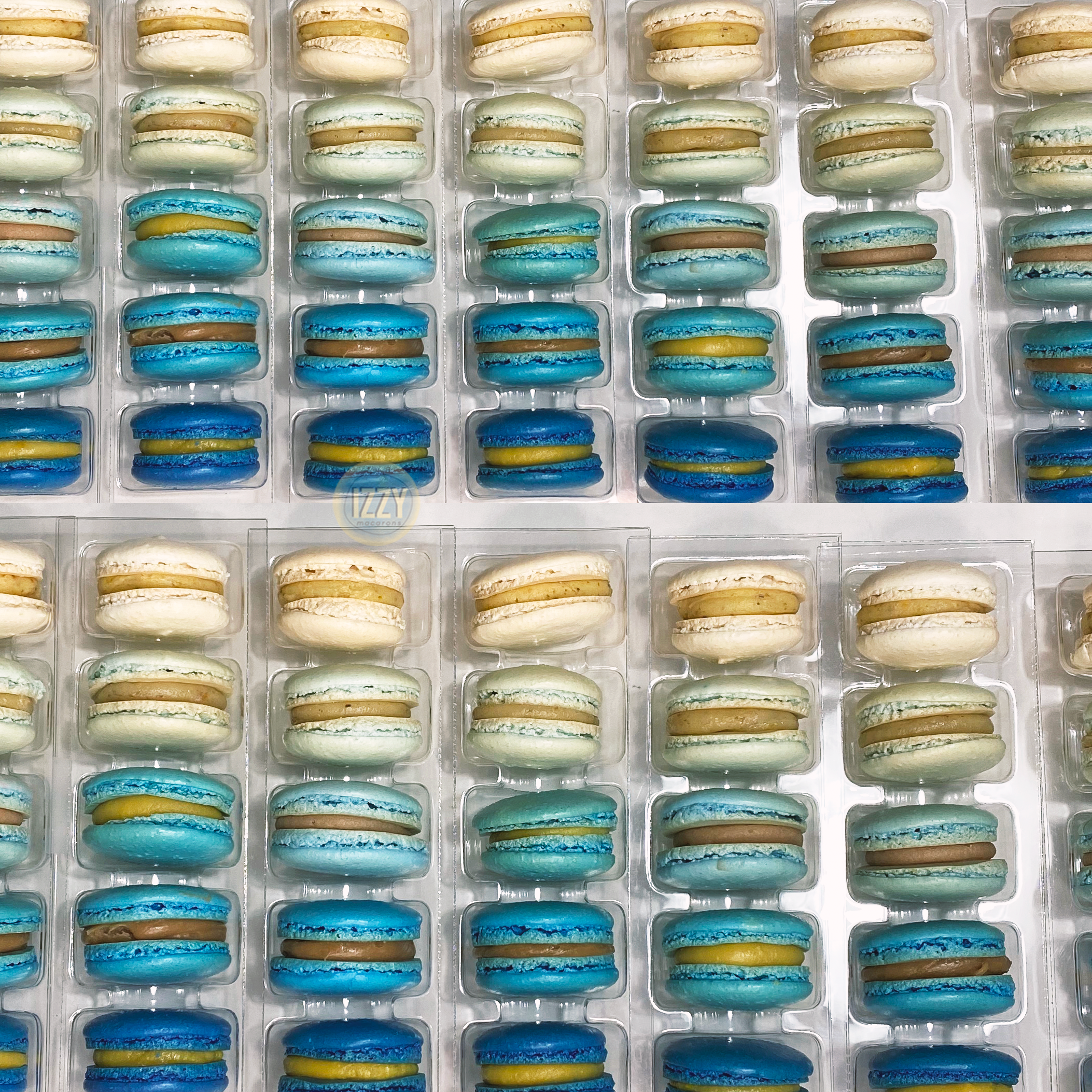 Blue Ombre - Izzy Macarons