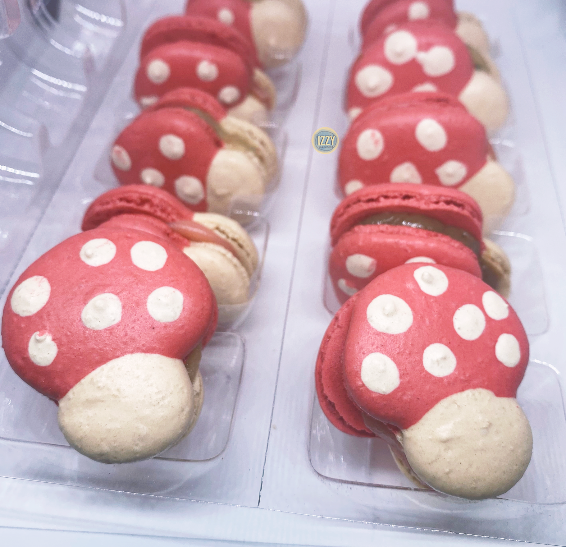 Mushroom Design Macarons - Izzy Macarons