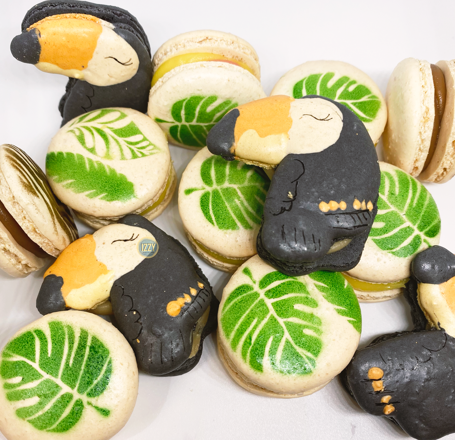 Tucan Designs Macarons - Izzy Macarons